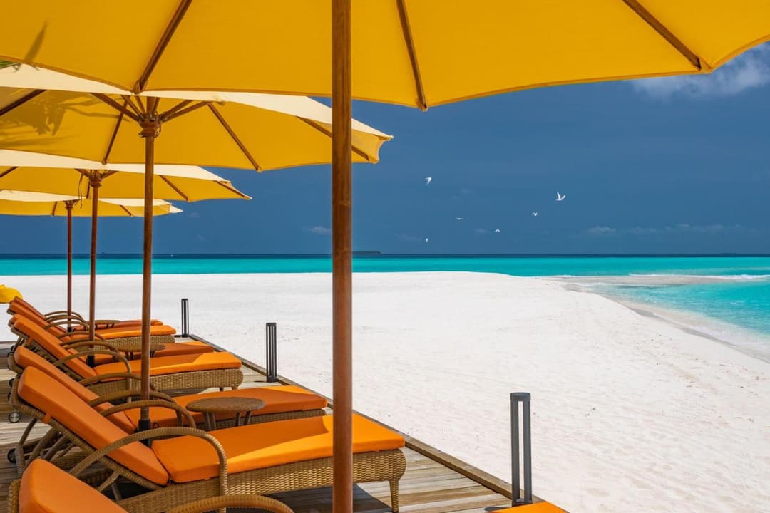 Dhigufaru Island Resort - View 36