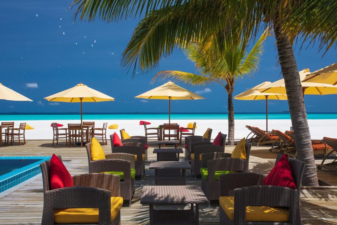 Dhigufaru Island Resort - View 37