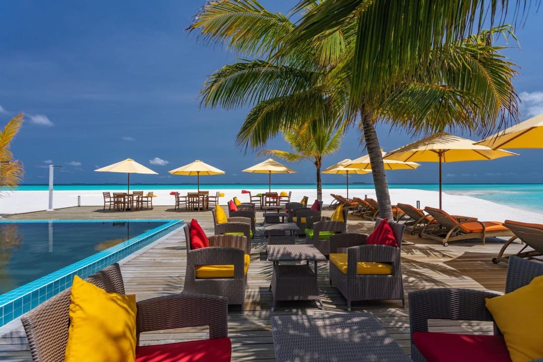 Dhigufaru Island Resort - View 89