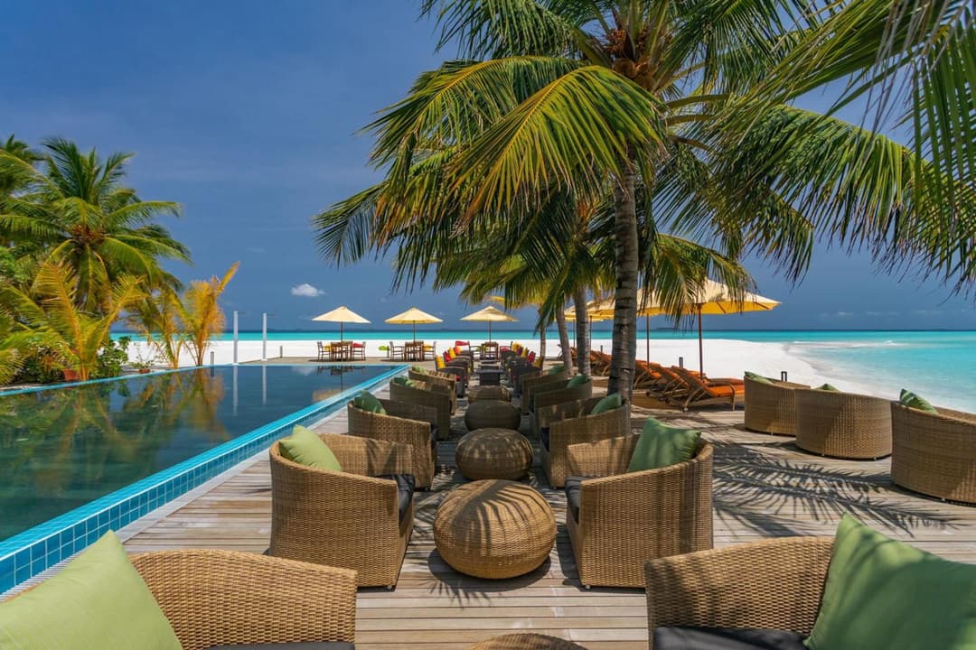 Dhigufaru Island Resort - View 51