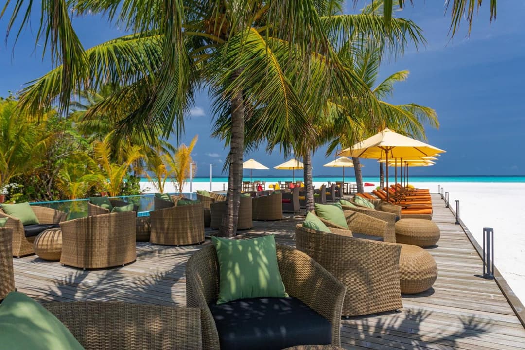 Dhigufaru Island Resort - View 38