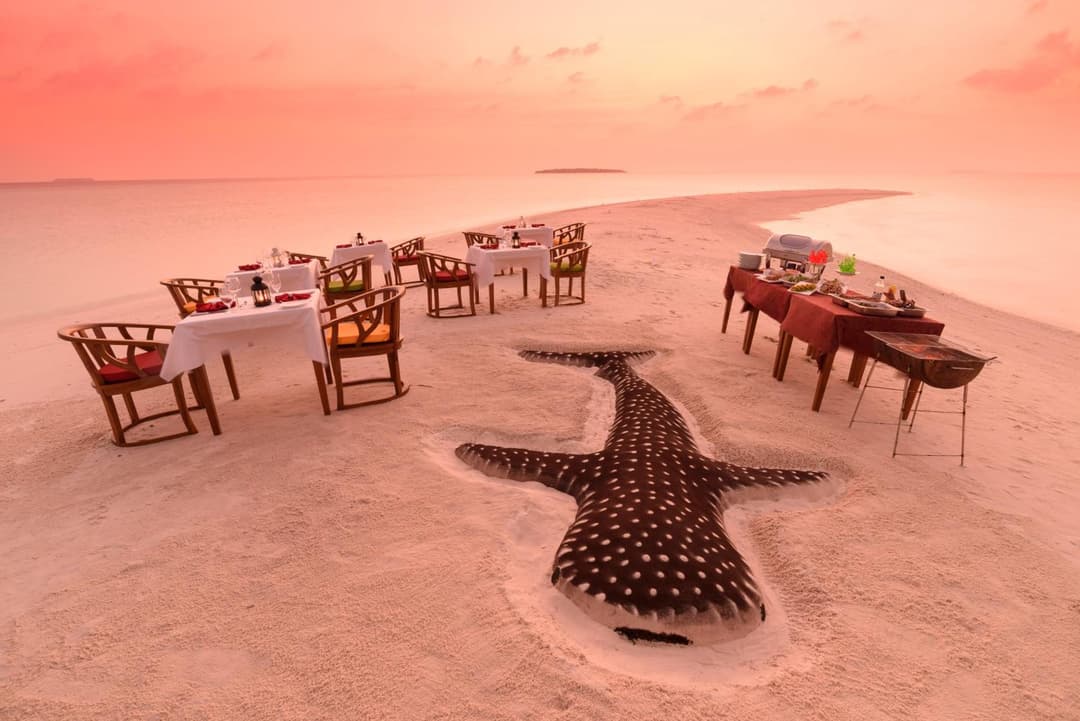 Dhigufaru Island Resort - View 50