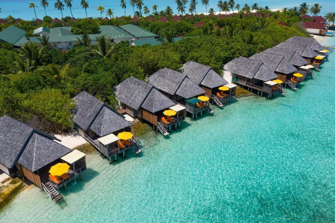 Dhigufaru Island Resort - View 67