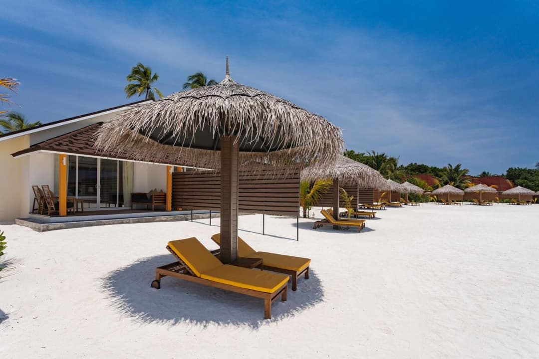 Dhigufaru Island Resort - View 74