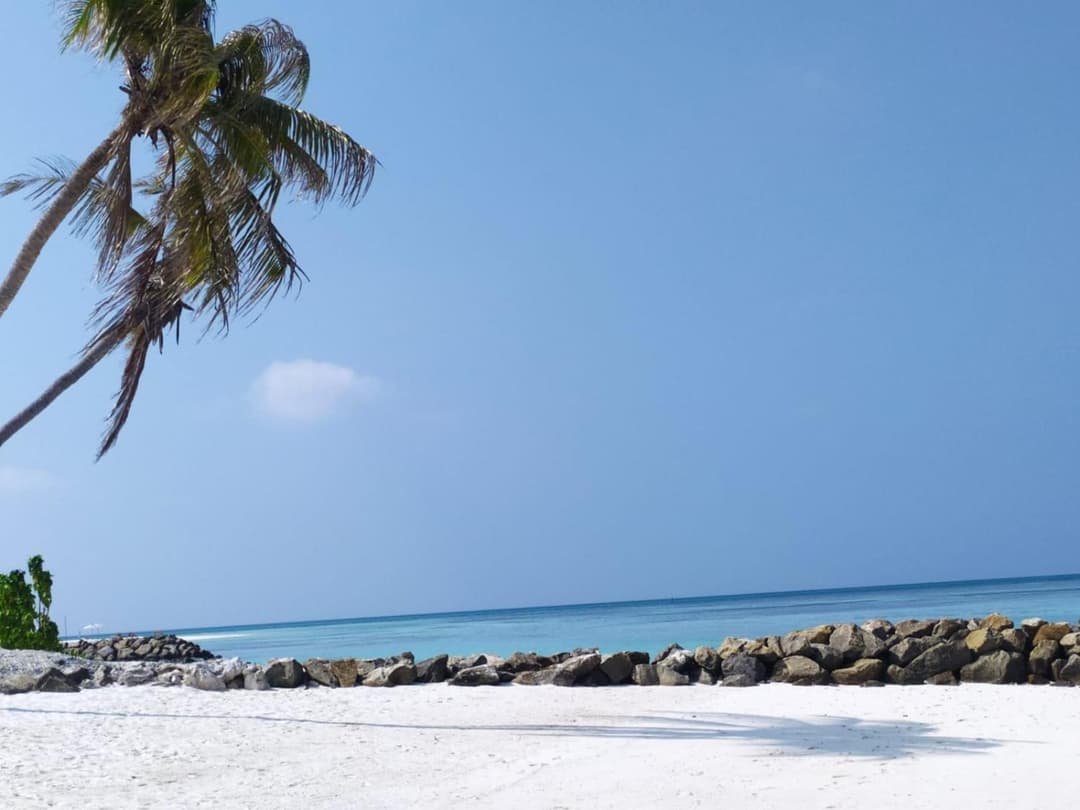 Courtyard Maldives - View 15