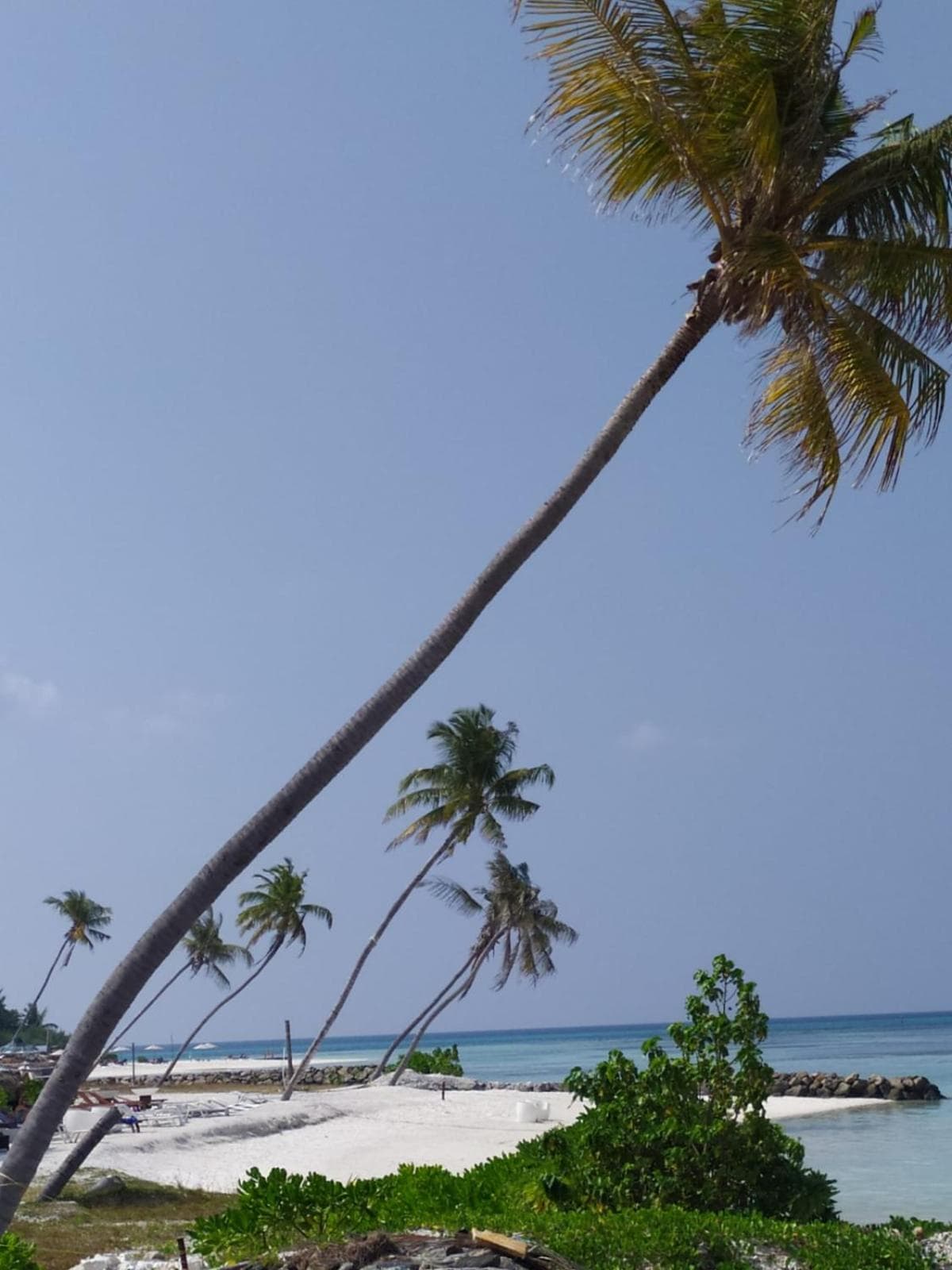 Courtyard Maldives - View 20