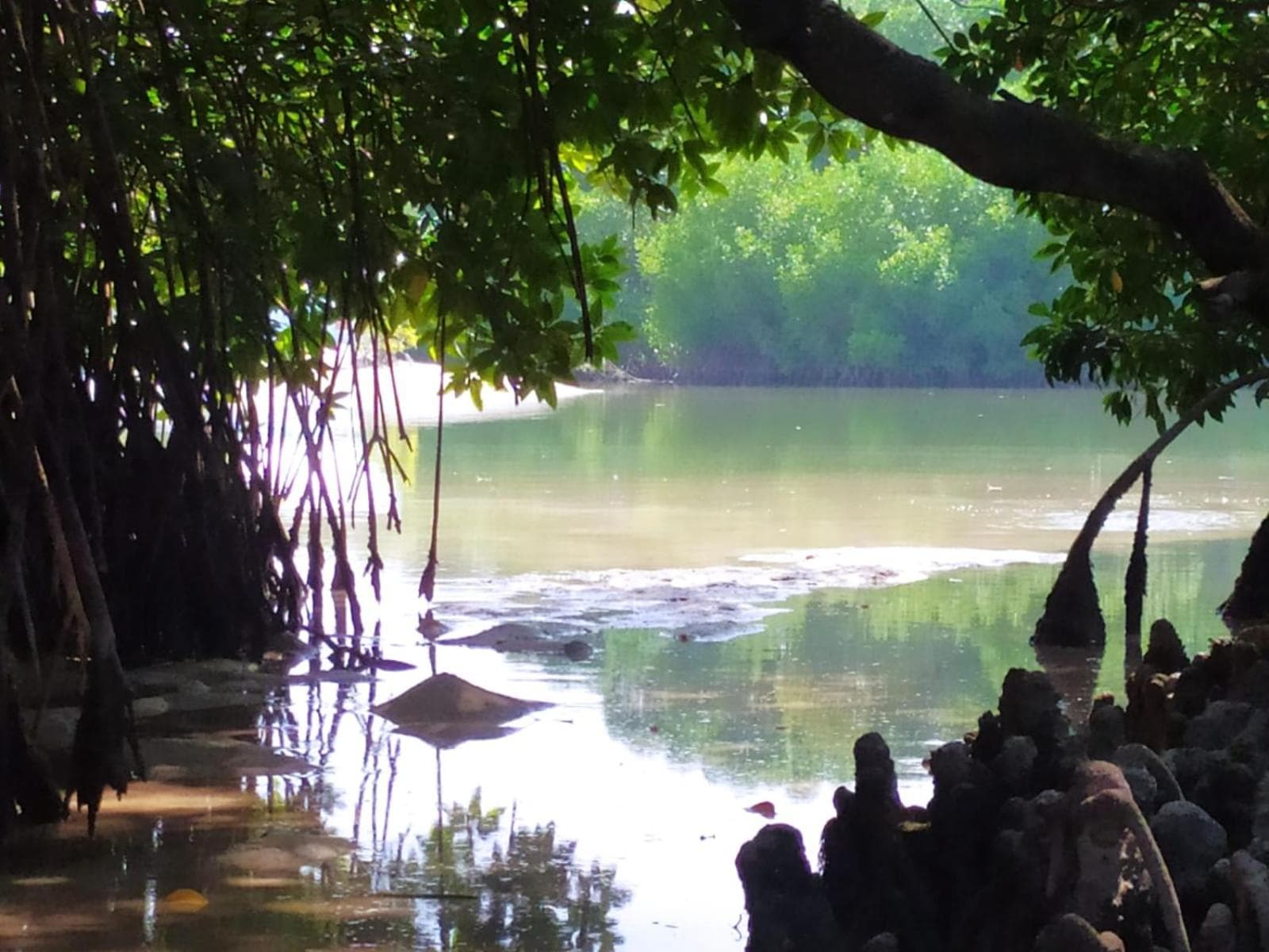 Courtyard Maldives - View 21