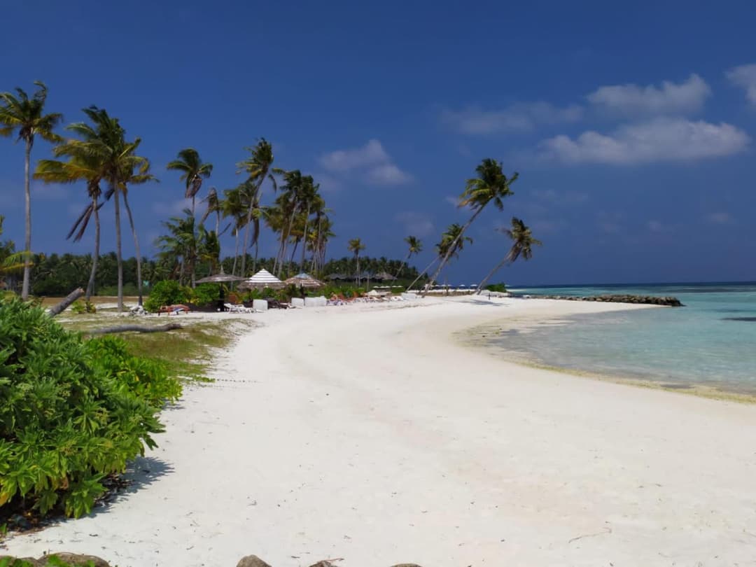 Courtyard Maldives - View 21