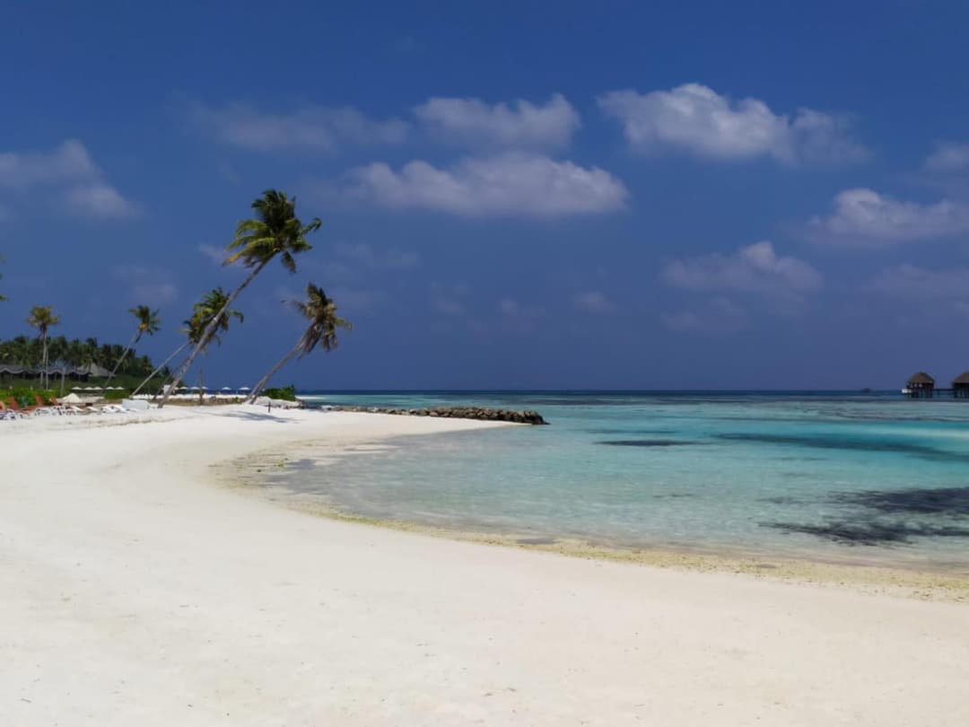 Courtyard Maldives - View 25
