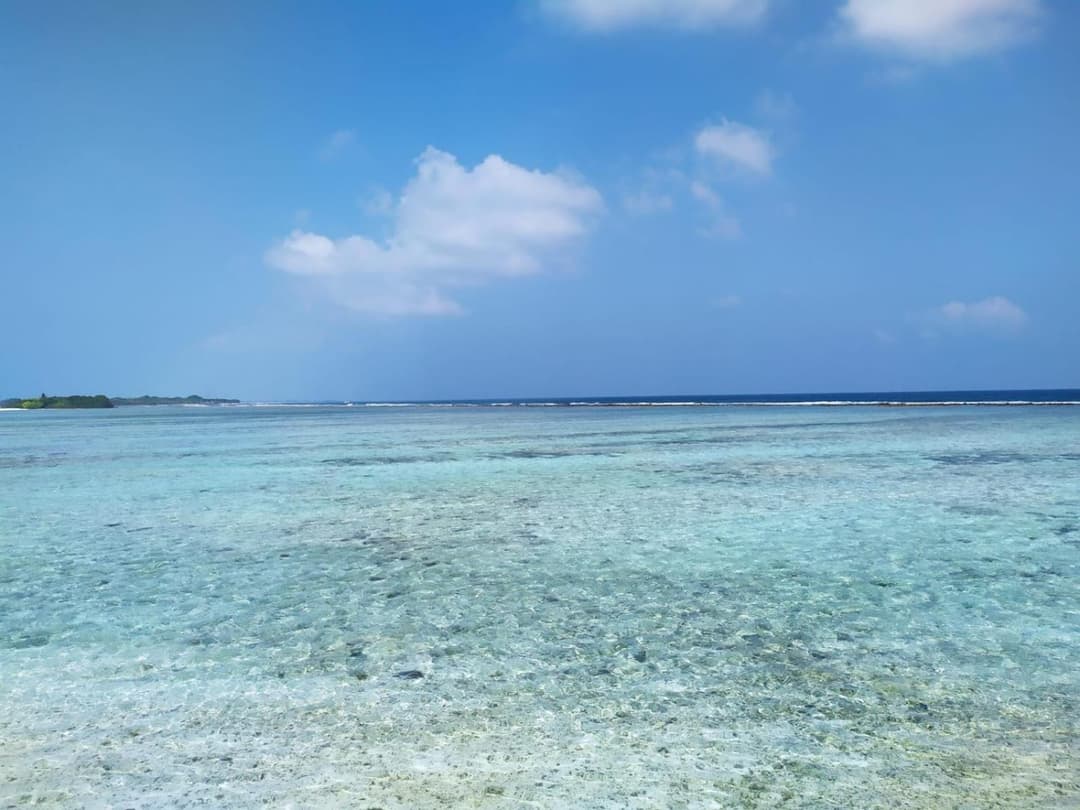 Courtyard Maldives - View 5