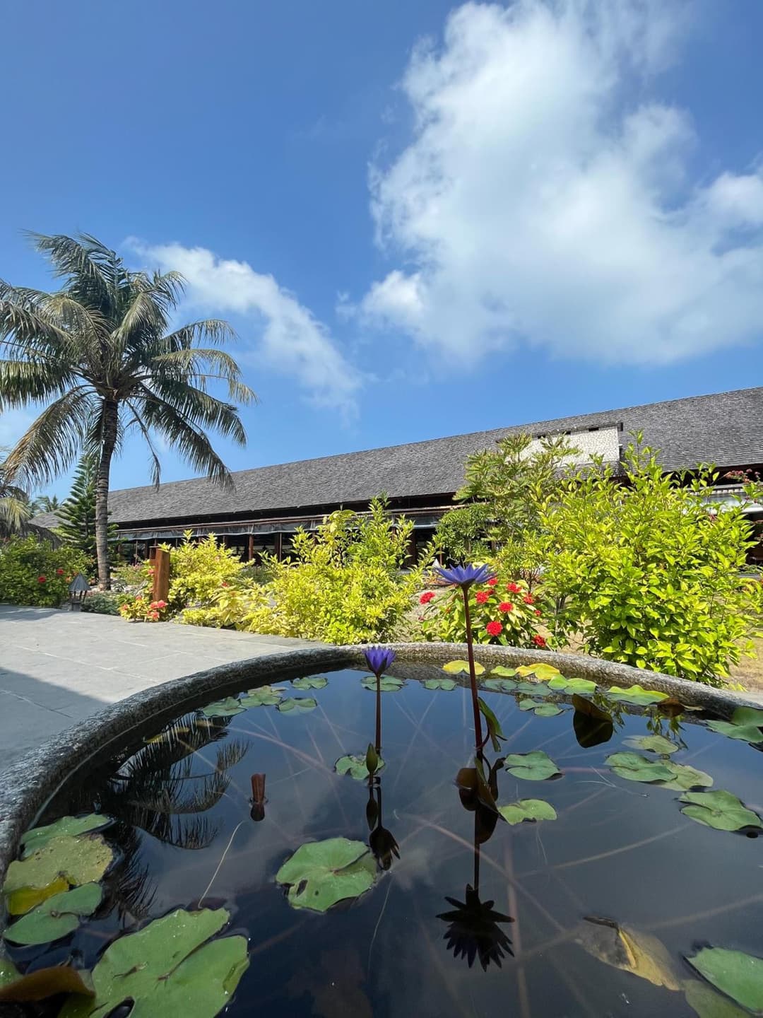 The Barefoot Eco Hotel - View 92