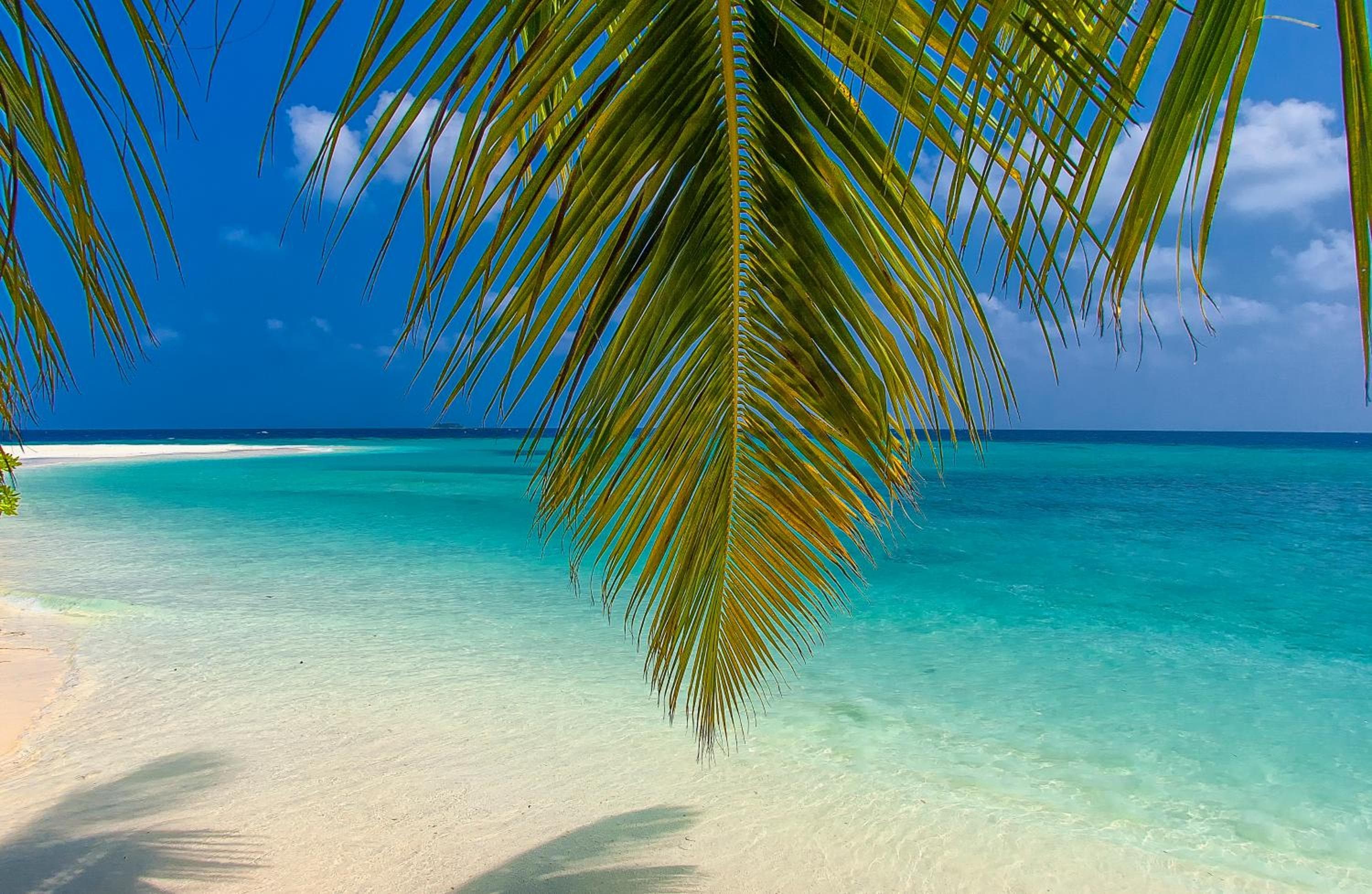 ROBINSON MALDIVES - Adults only - View 28