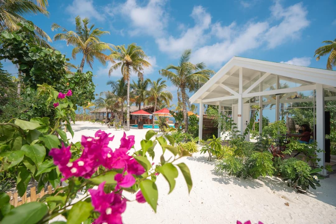 Oaga Art Resort Maldives - All Inclusive - View 6