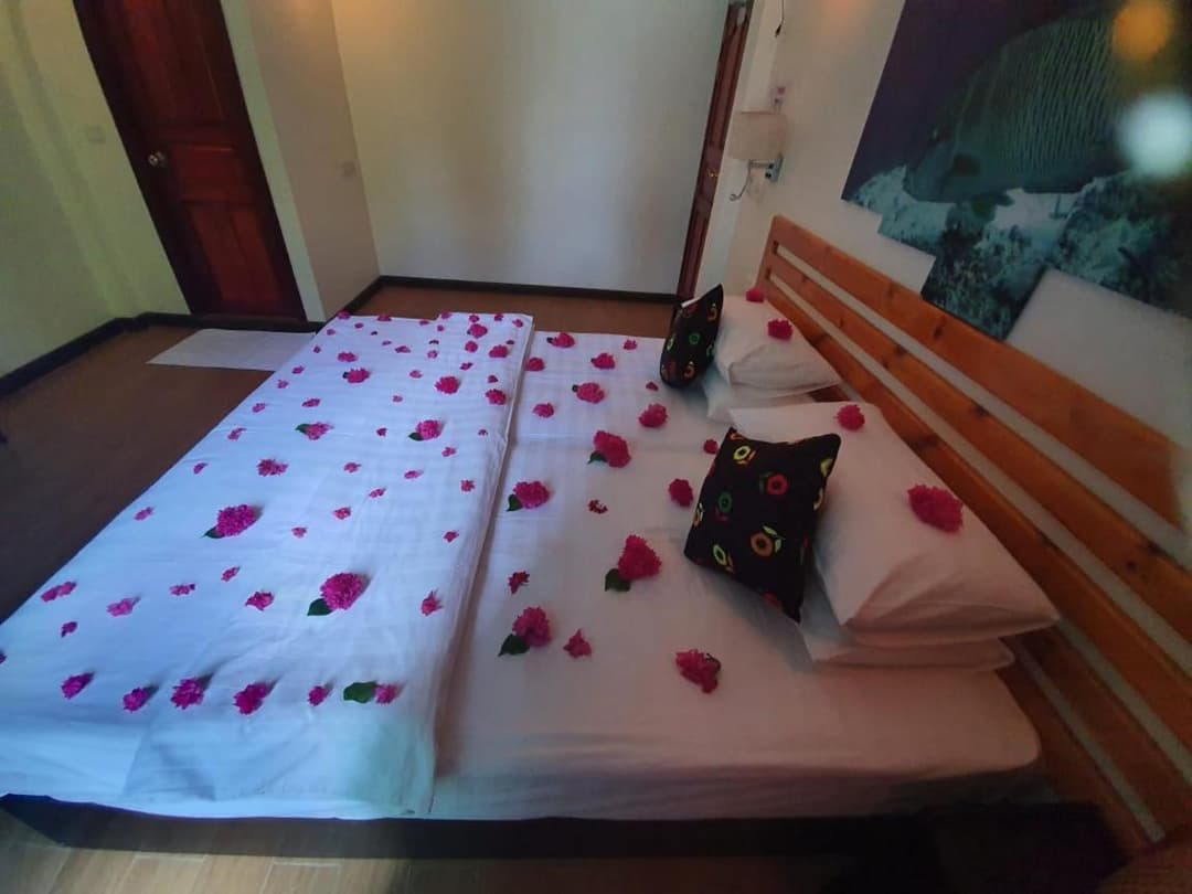 Arianna Dhangethi - View 11
