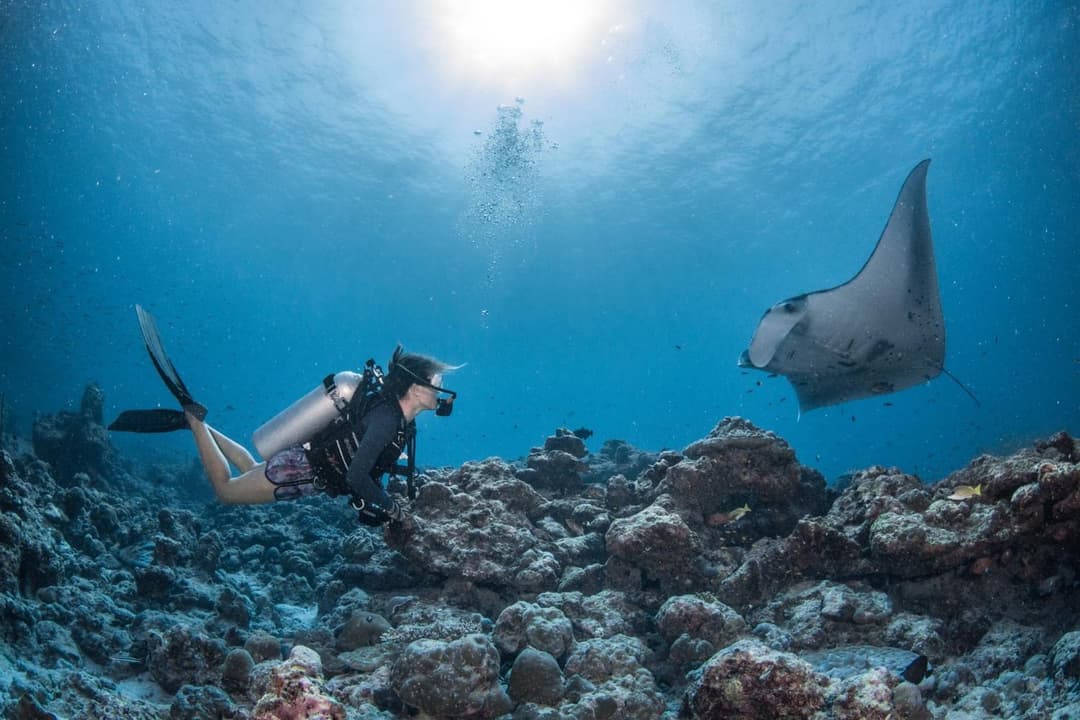 Intercontinental Maldives Maamunagau Resort with Club benefits by IHG - View 183