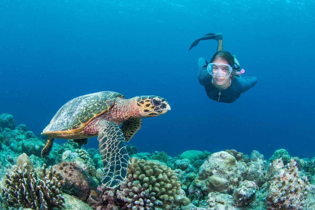 Intercontinental Maldives Maamunagau Resort with Club benefits by IHG - View 161