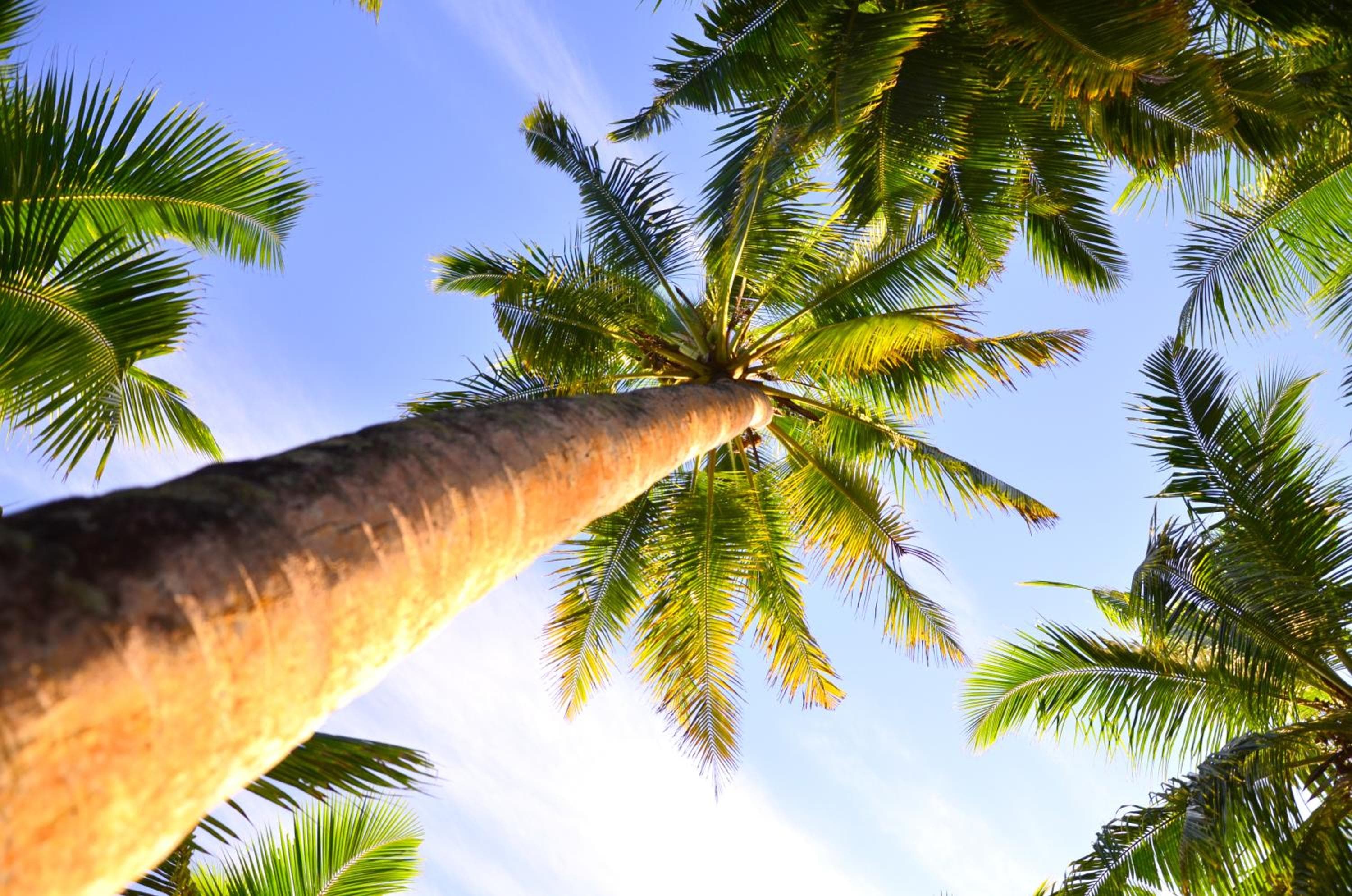 Isle Royal Inn - View 59