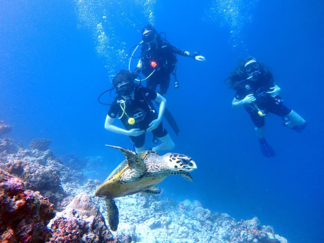 Furaveri Maldives - COMPLIMENTARY ROUND-TRIP SEAPLANE TRANSFER FOR TWO FOR A MINIMUM OF 5 NIGHTS OR MORE FOR STAYS 1ST MAY 2026 TO 23RD DECEMBER 2026 - View 47