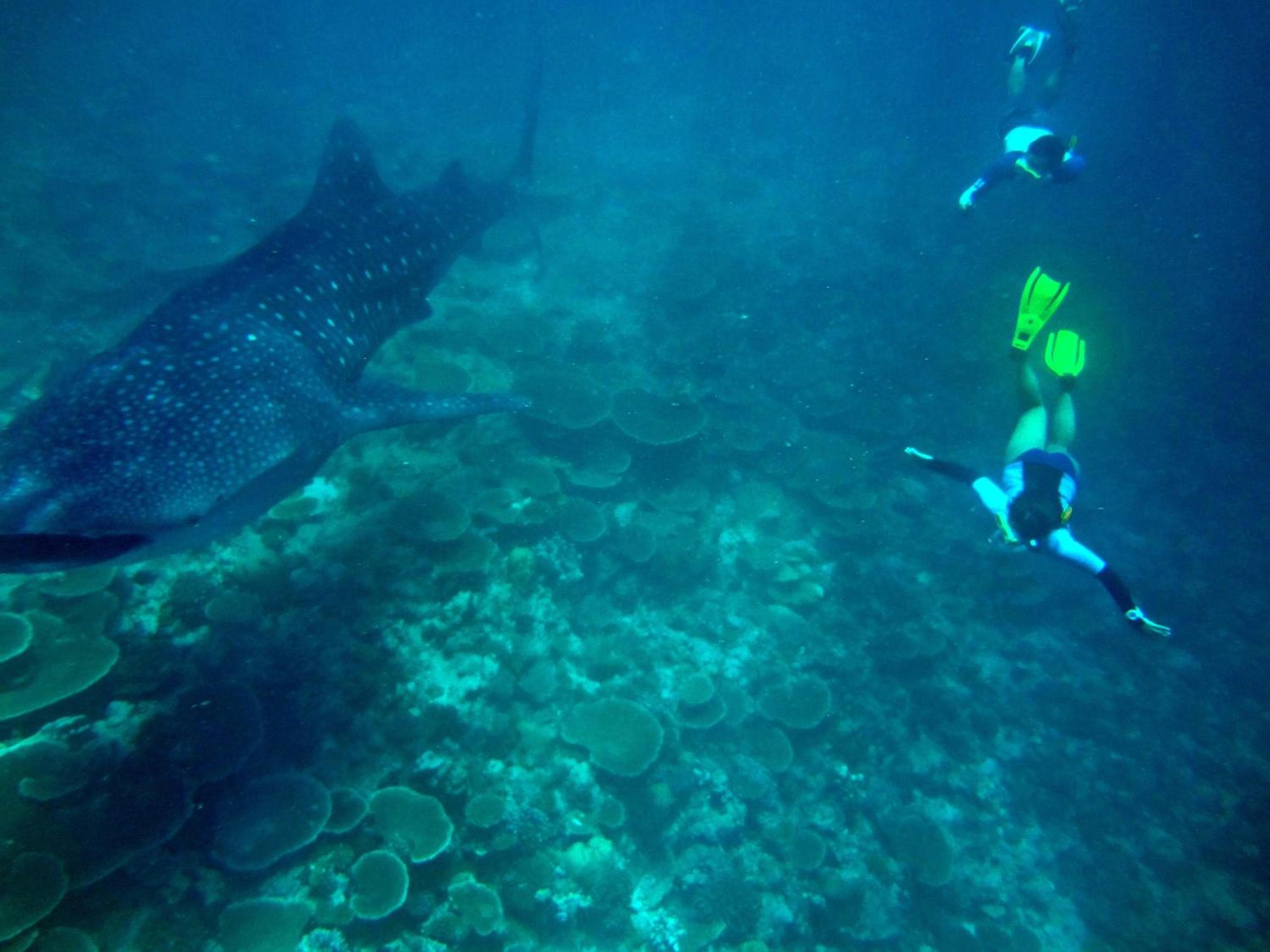 Koimala Hotel - View 96