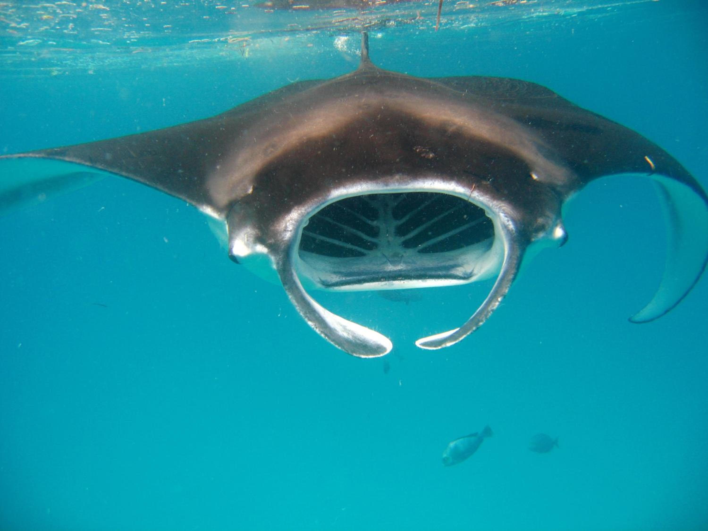 Koimala Hotel - View 35