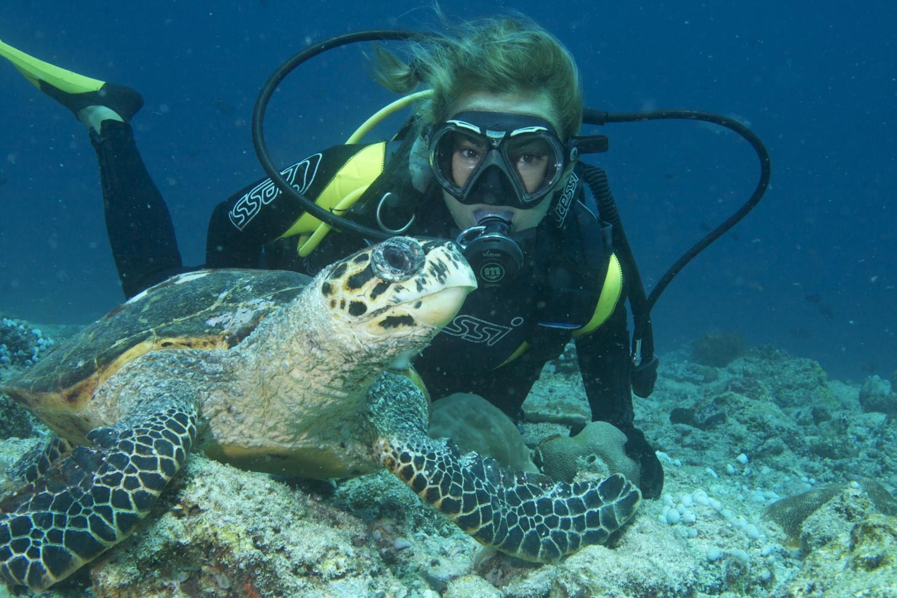 Koimala Hotel - View 110