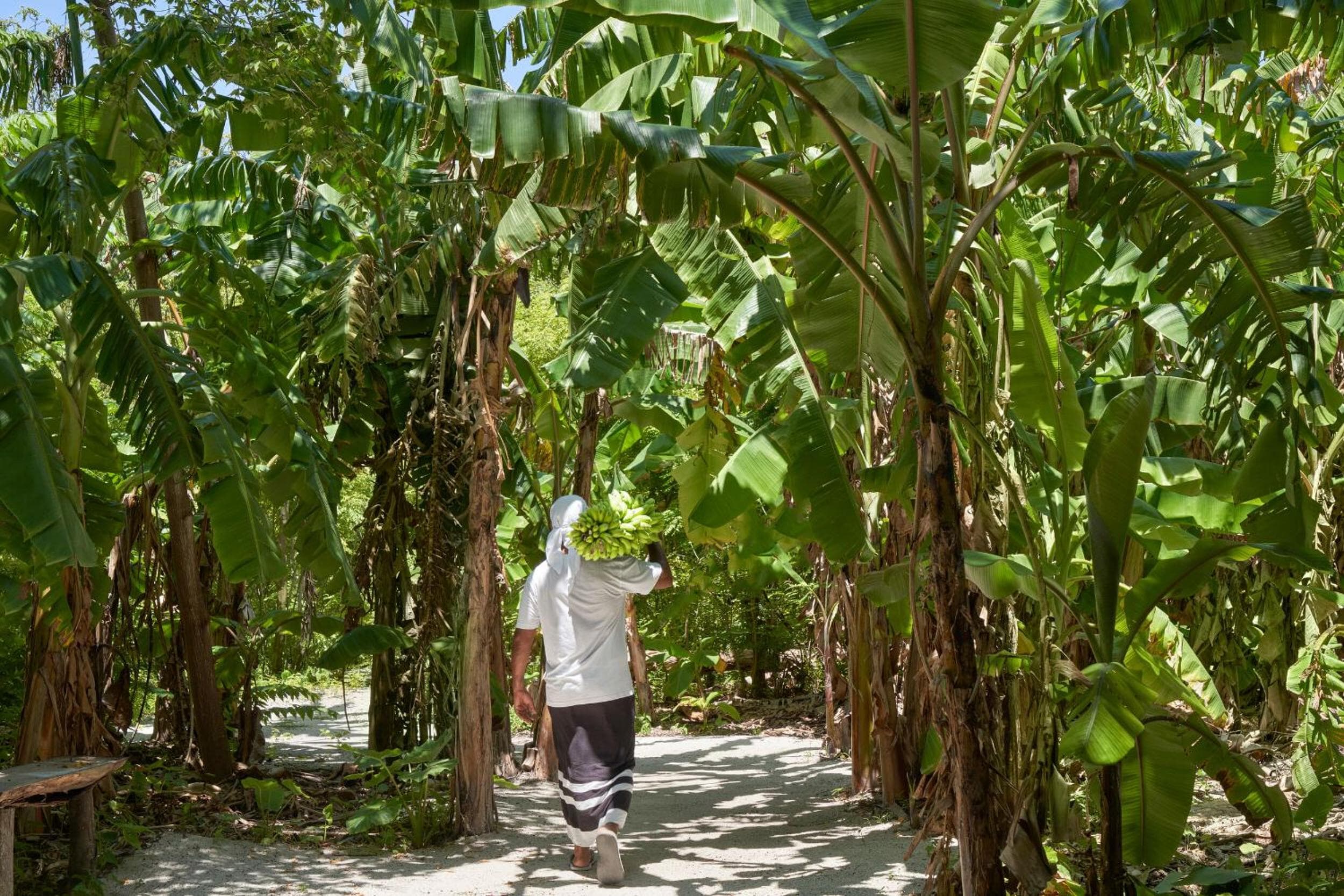 Villa Park Sun Island Resort - View 51