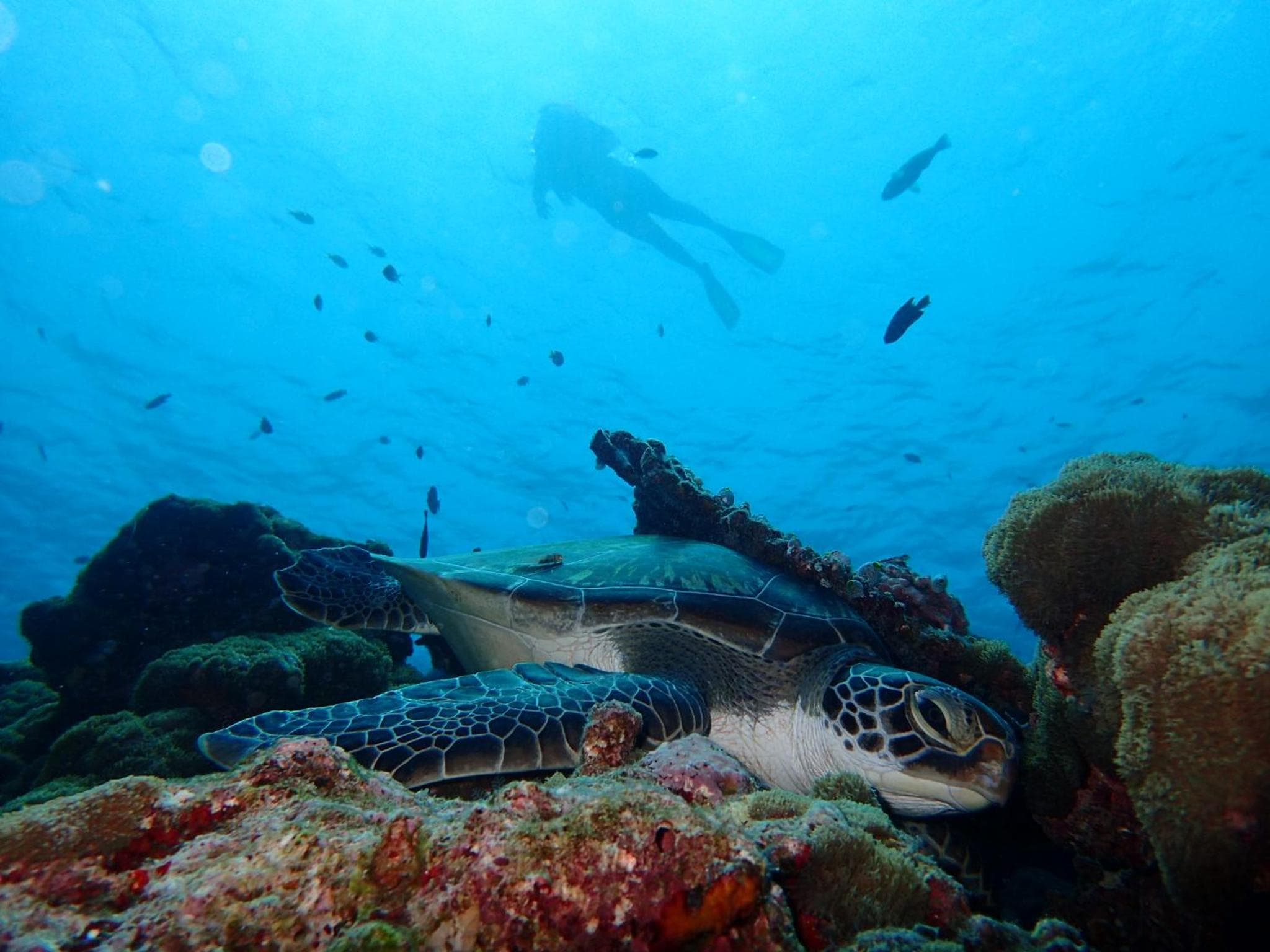 Manta Reserve - View 19