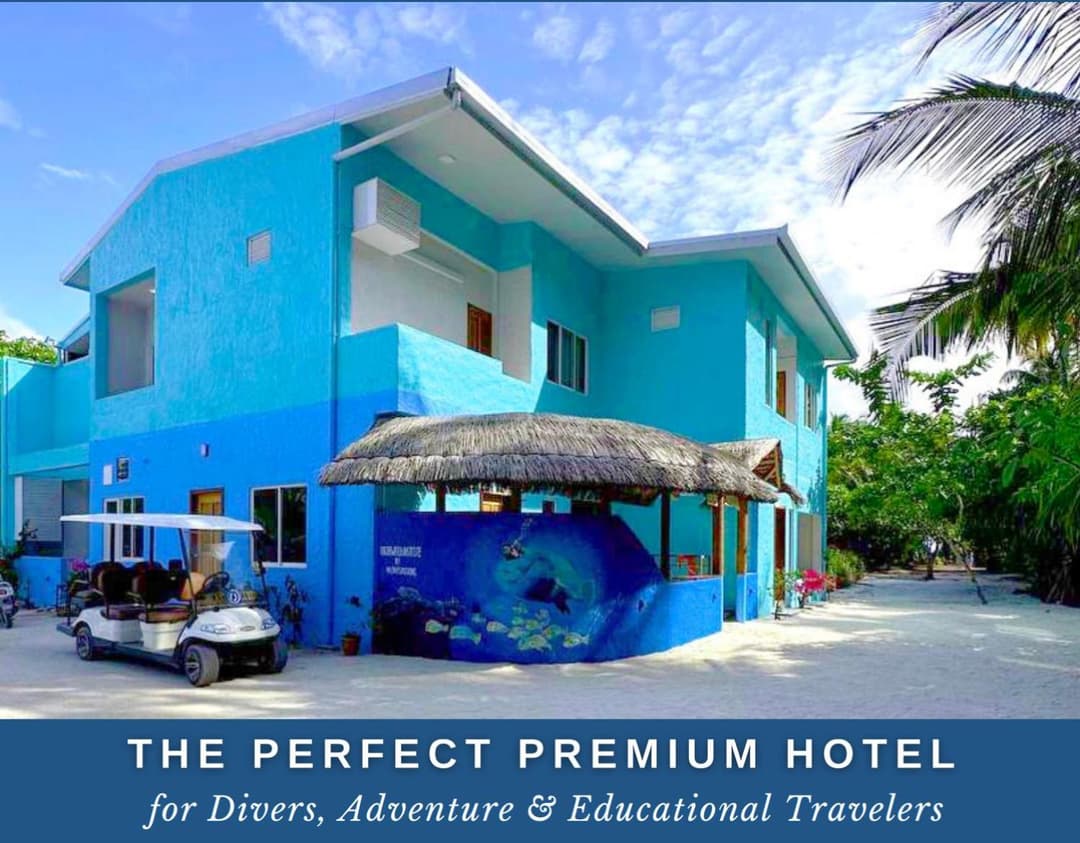 Island Luxury Dive Hotel - Fulhadhoo - View 31
