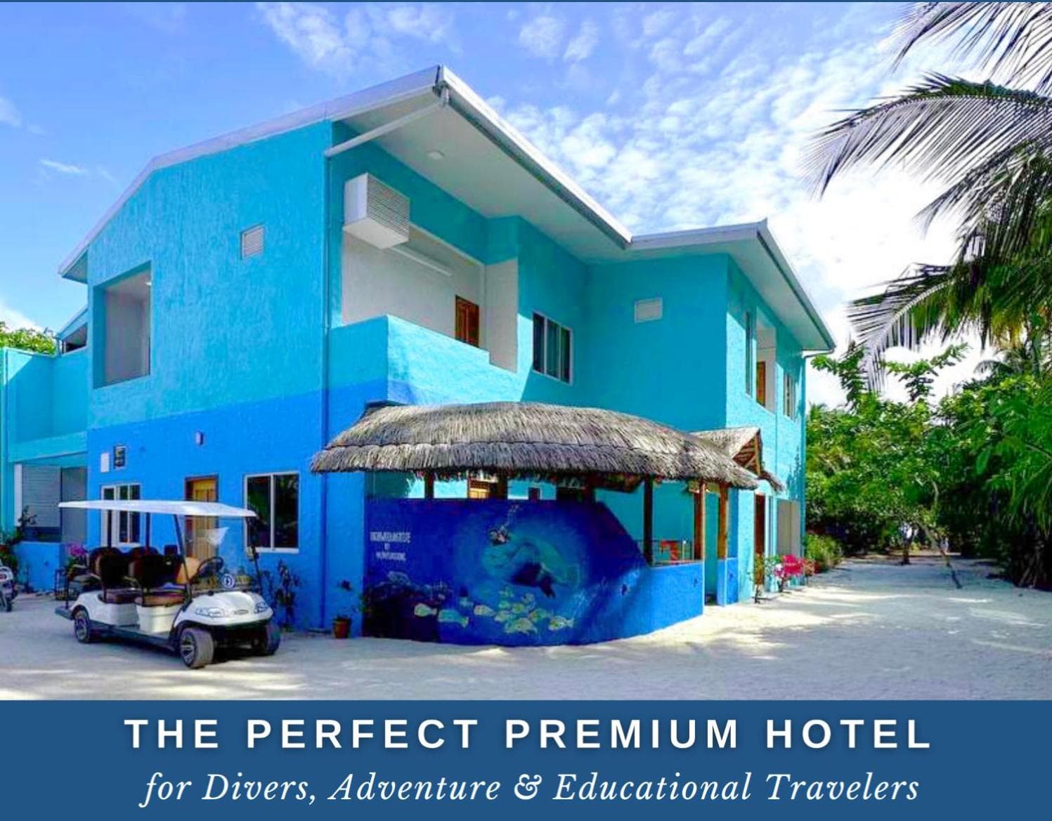 Island Luxury Dive Hotel - Fulhadhoo - View 17