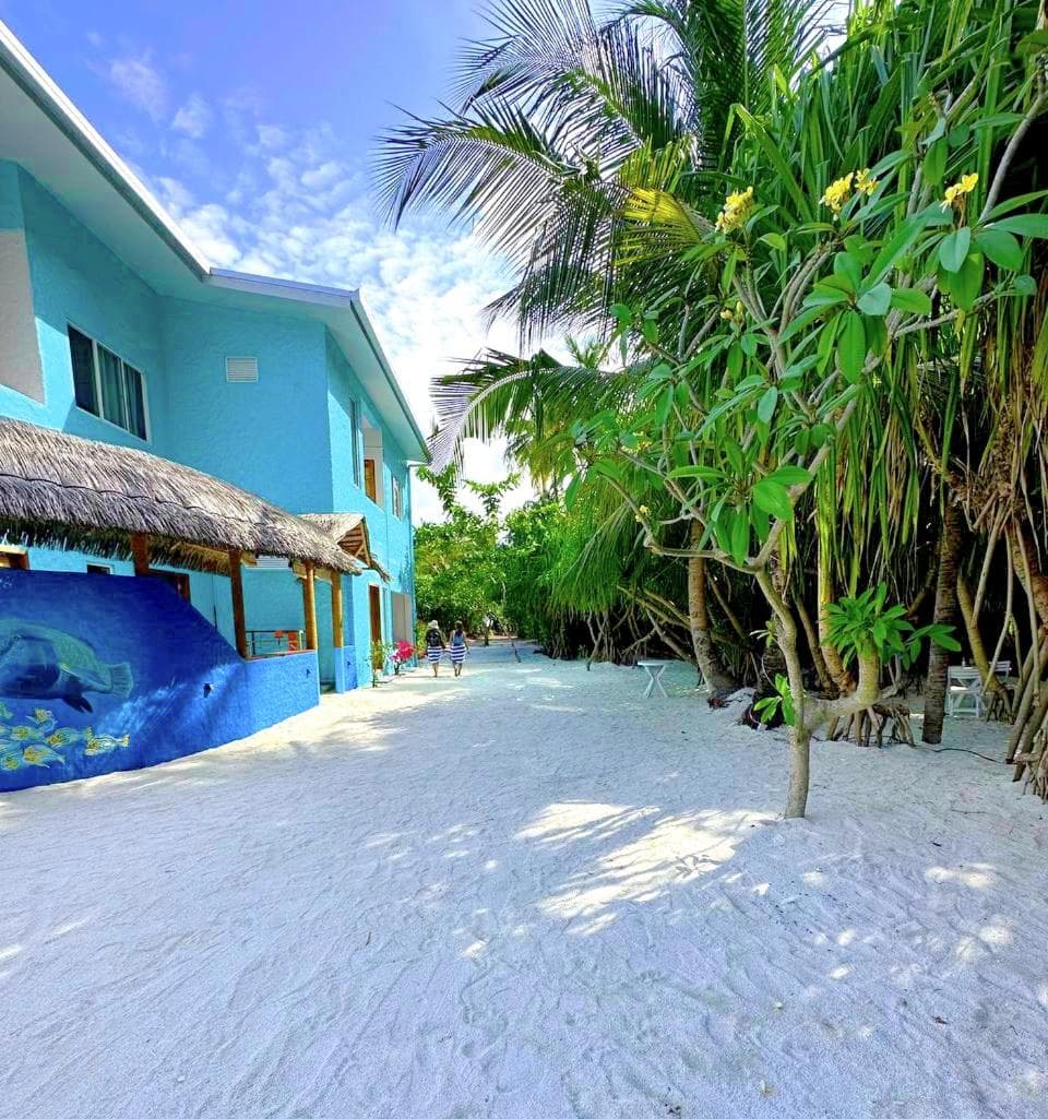 Island Luxury Dive Hotel - Fulhadhoo - View 6