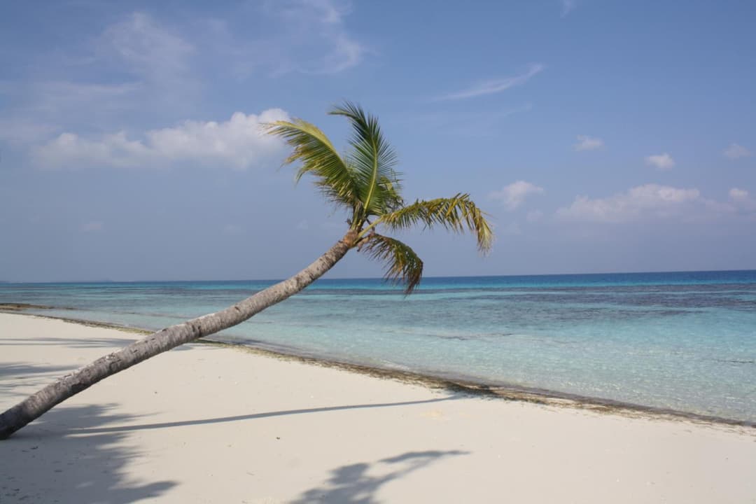 Boutique Beach All Inclusive Diving Hotel - View 4