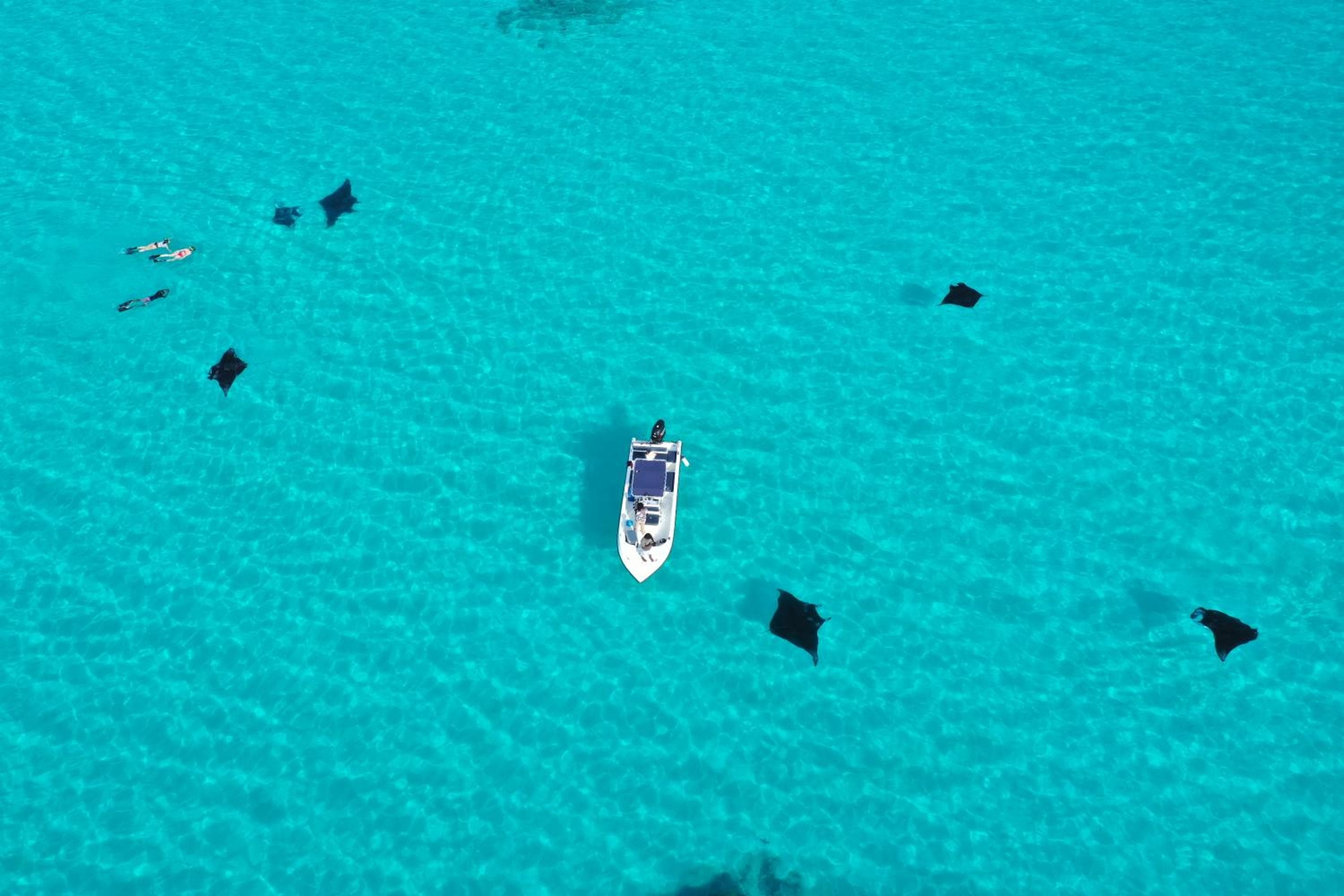 Salt Villa Ukulhas - View 2