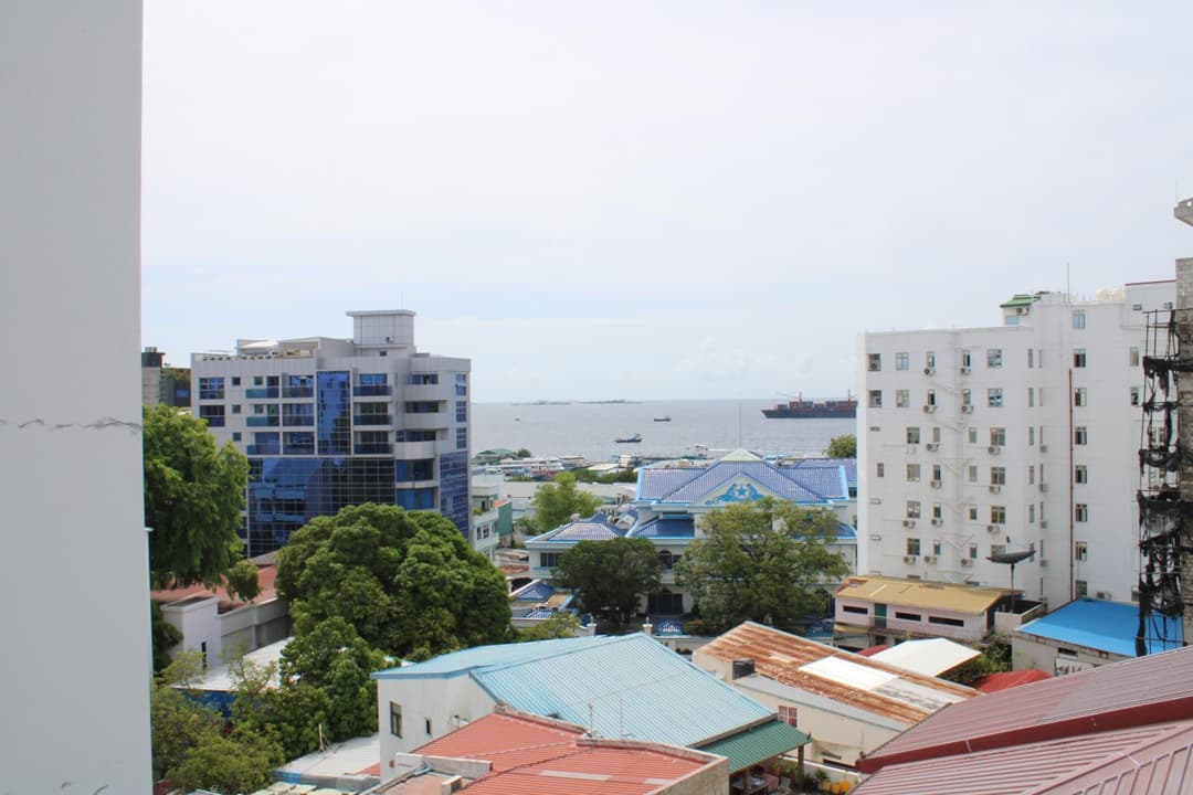 Beehive Central - View 7