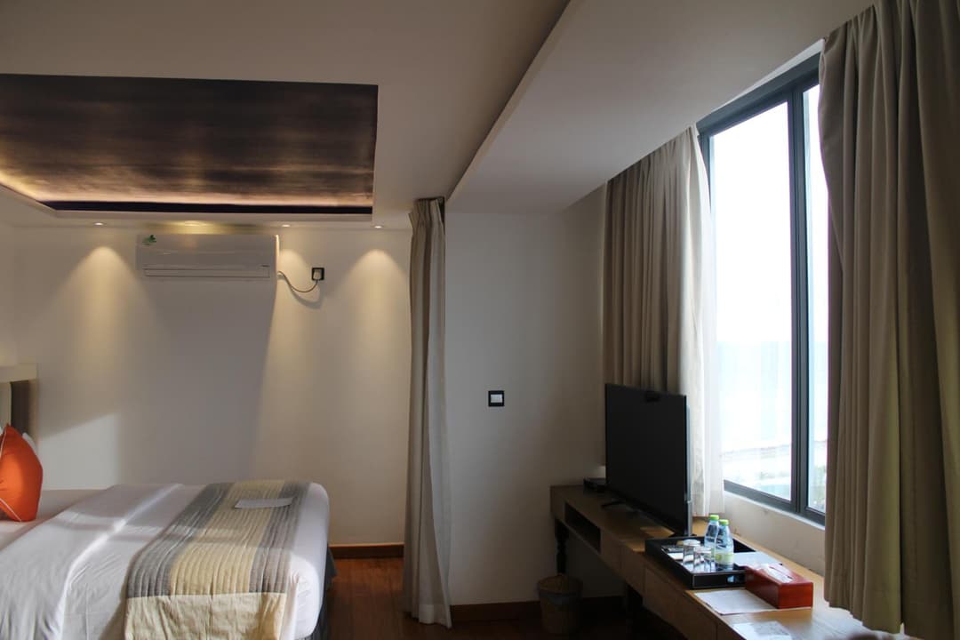 Beehive Premier - View 71