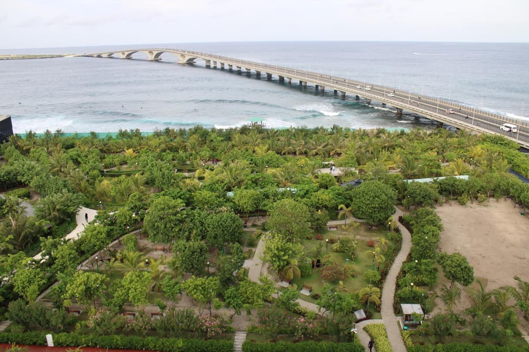 Beehive Premier - View 16