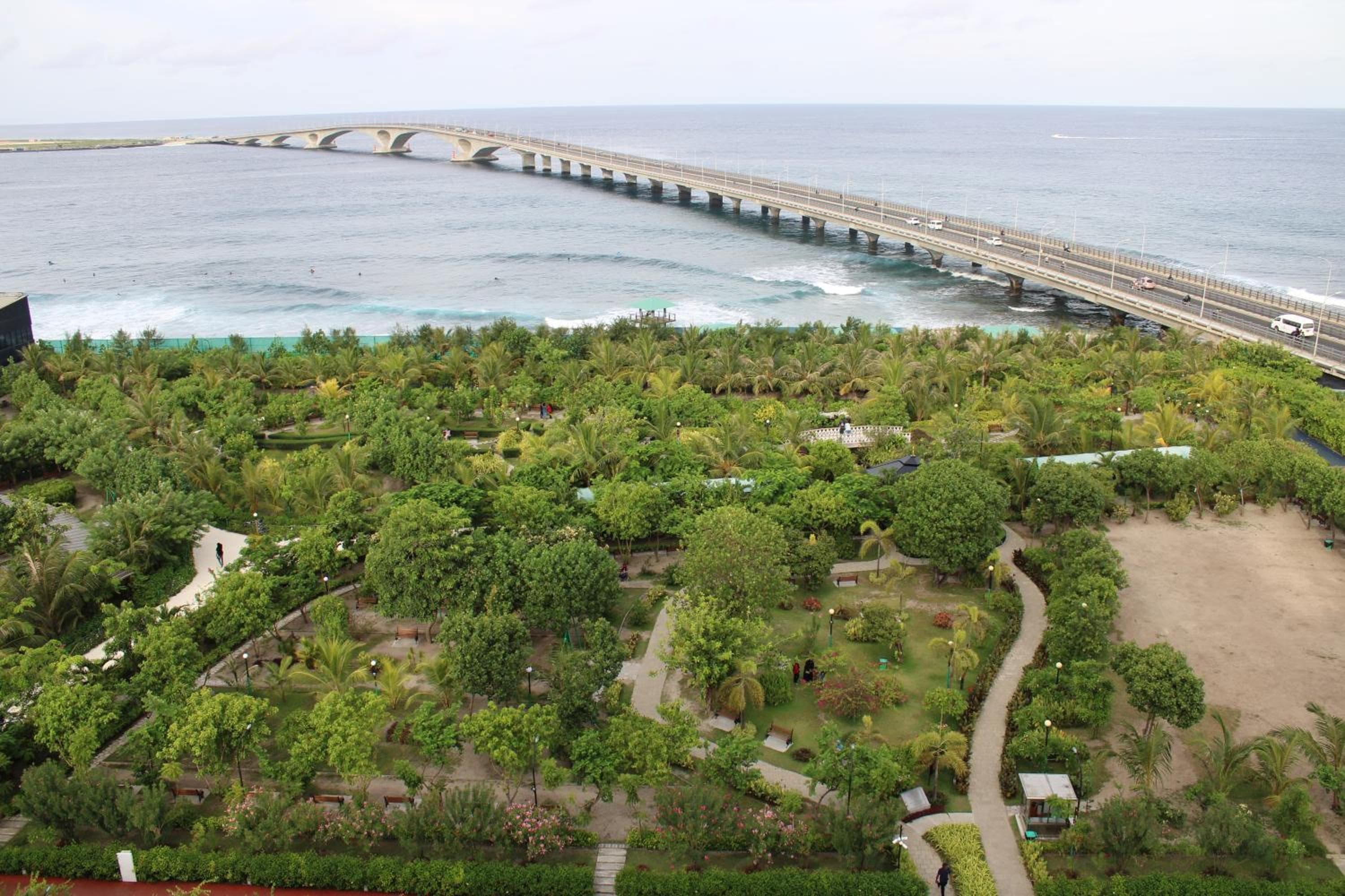 Beehive Premier - View 54