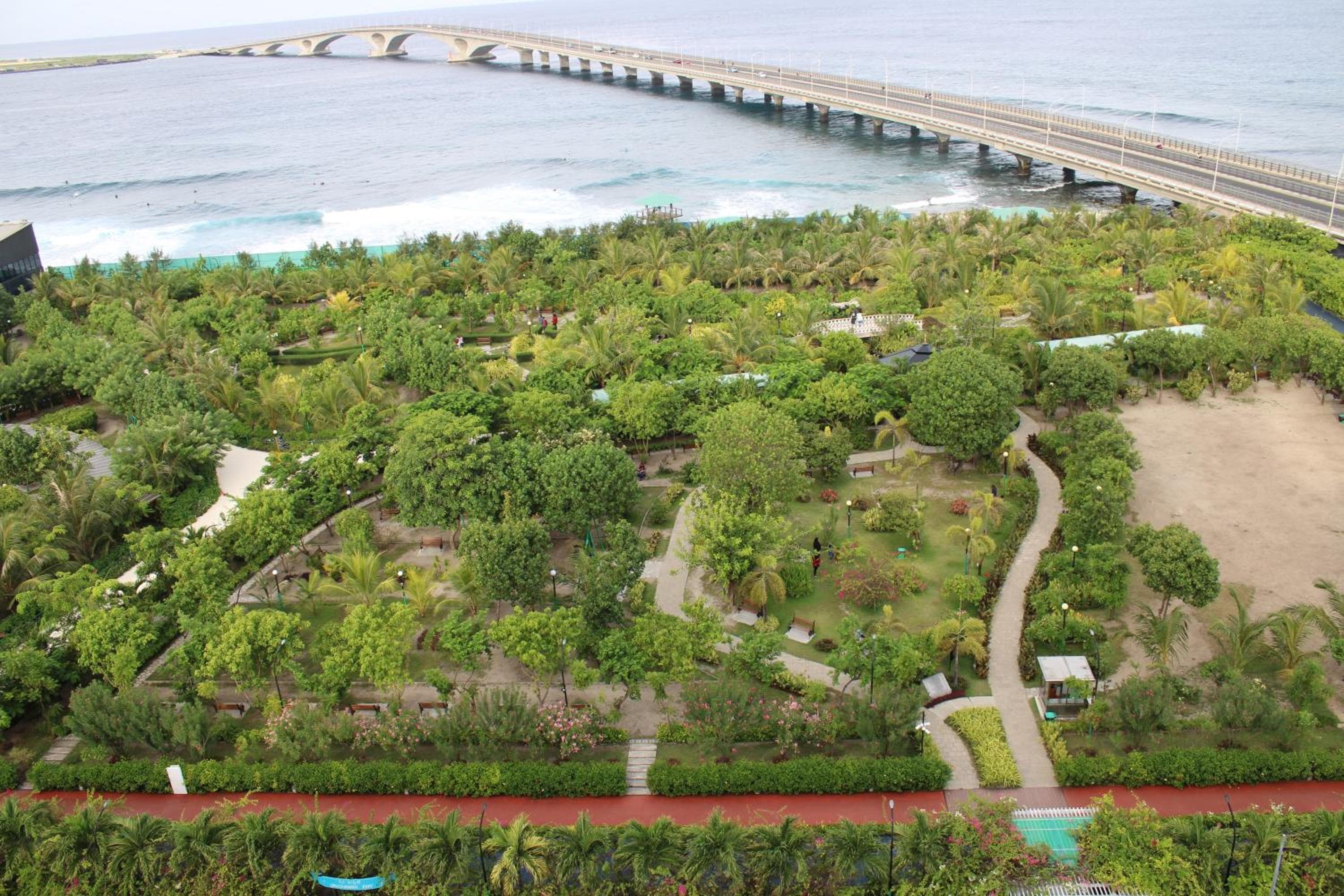 Beehive Premier - View 53