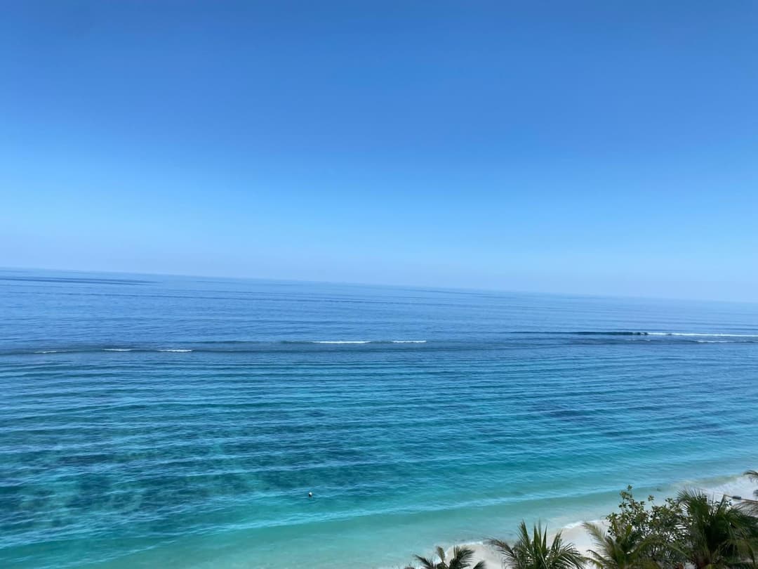The Hive Beach - View 88