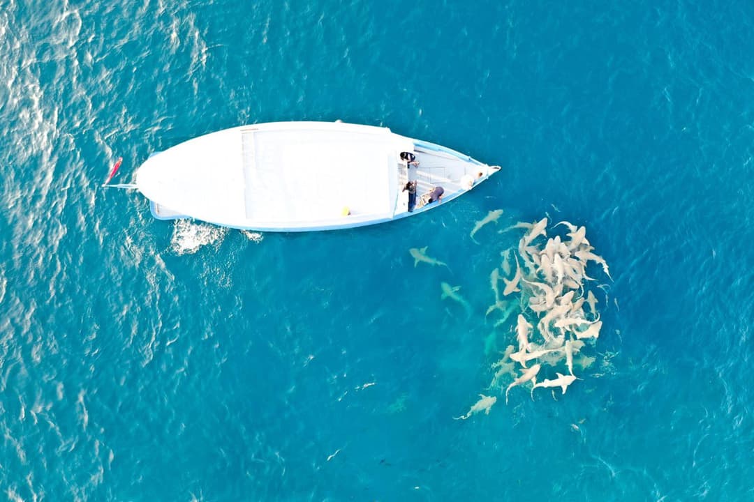 Adaaran Club Rannalhi - All Inclusive - 45 Minutes away from Male by Speedboat - View 5