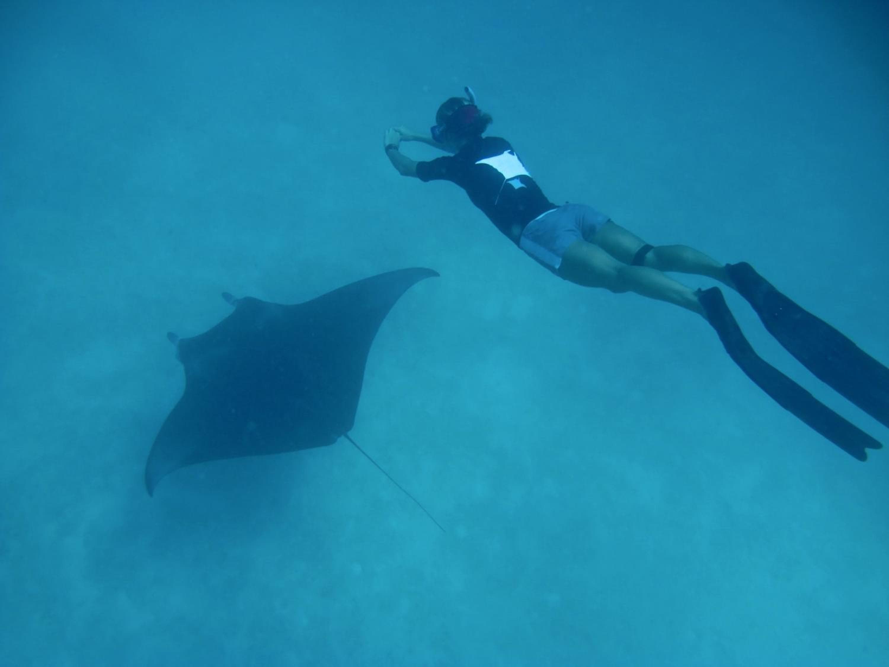 Coco Palm Dhuni Kolhu - View 41