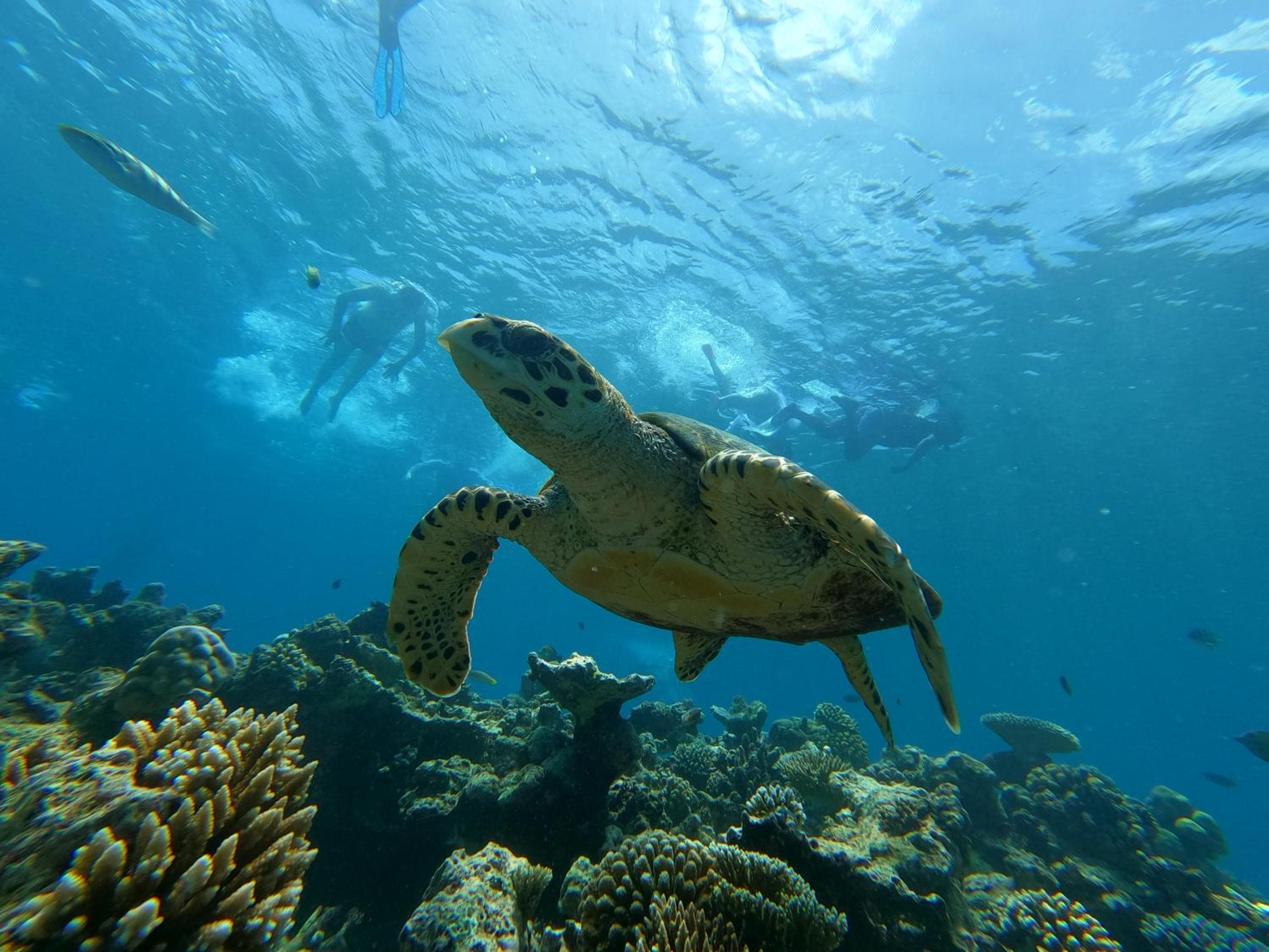 Athens View Hotel - View 5