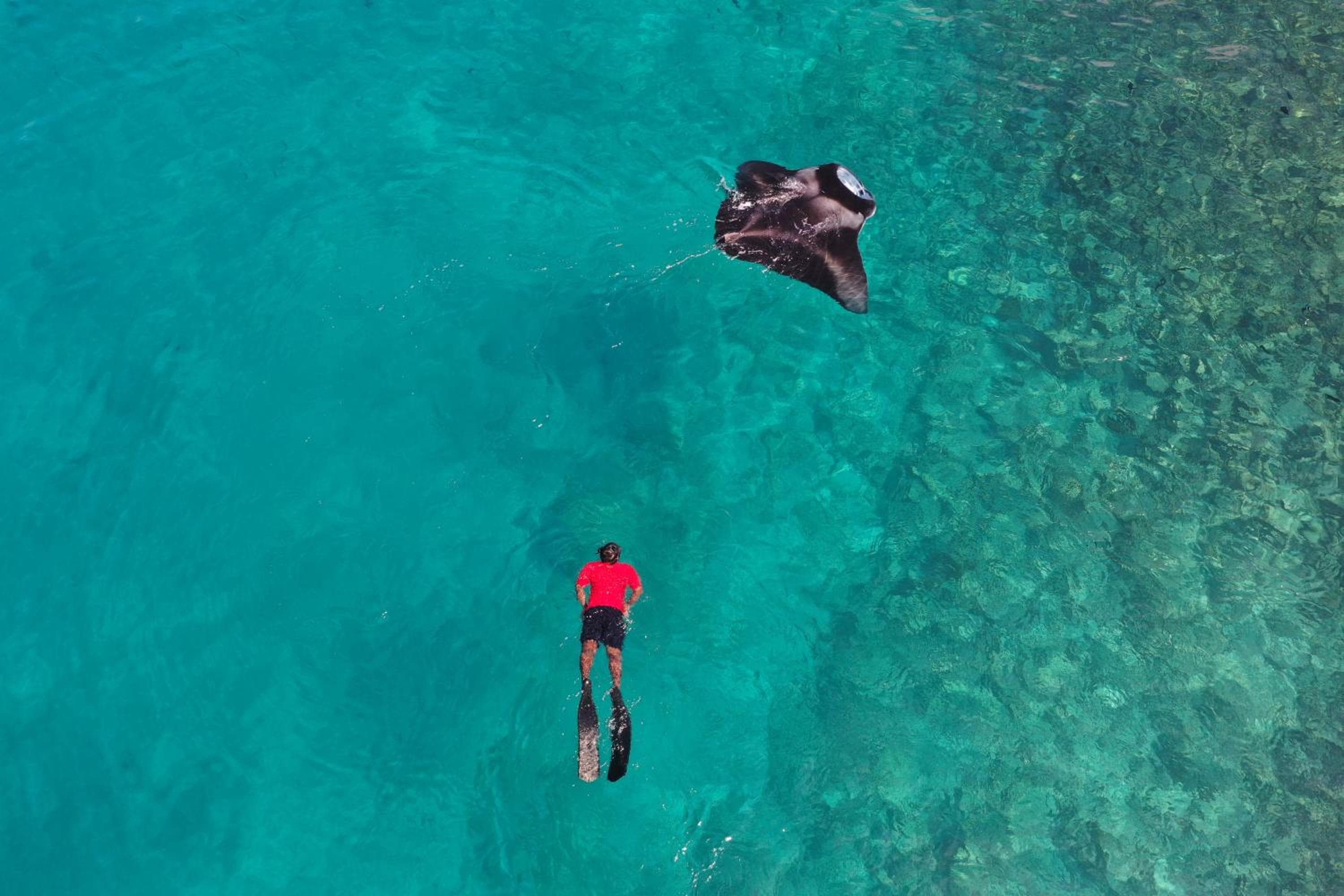 Thundi Village & Spa - View 13