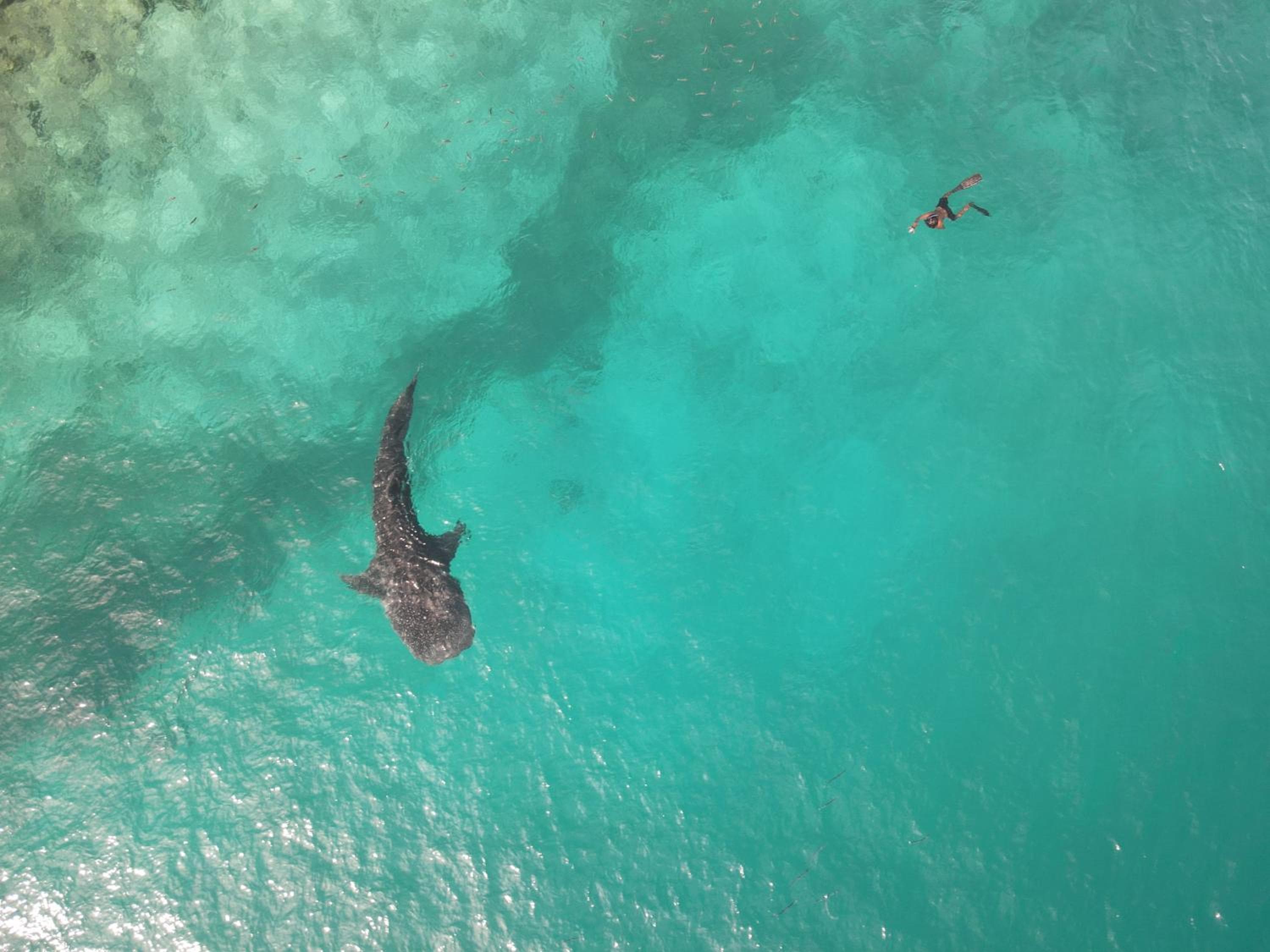 Thundi Village & Spa - View 11