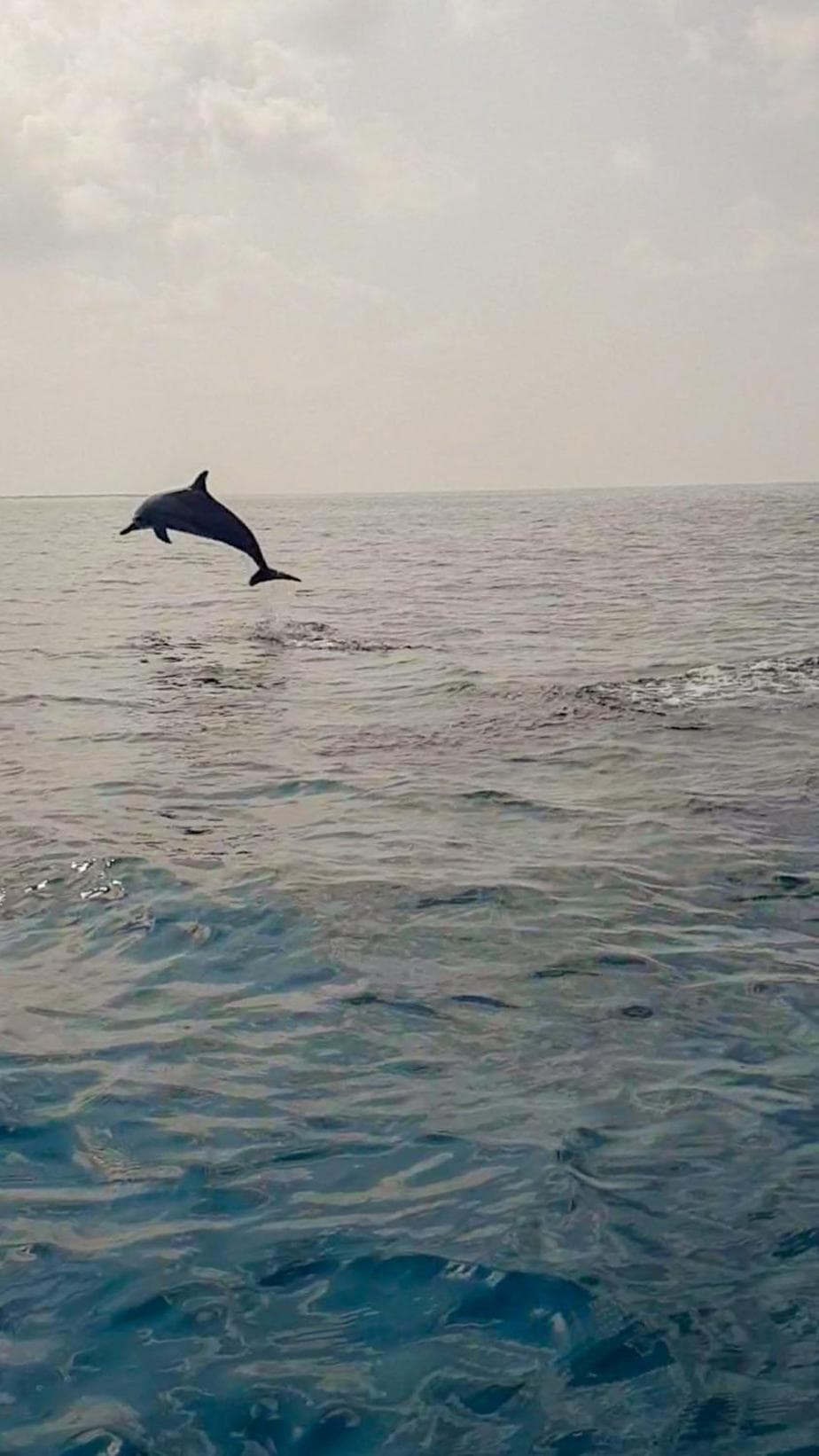 Vaagali Inn - View 30