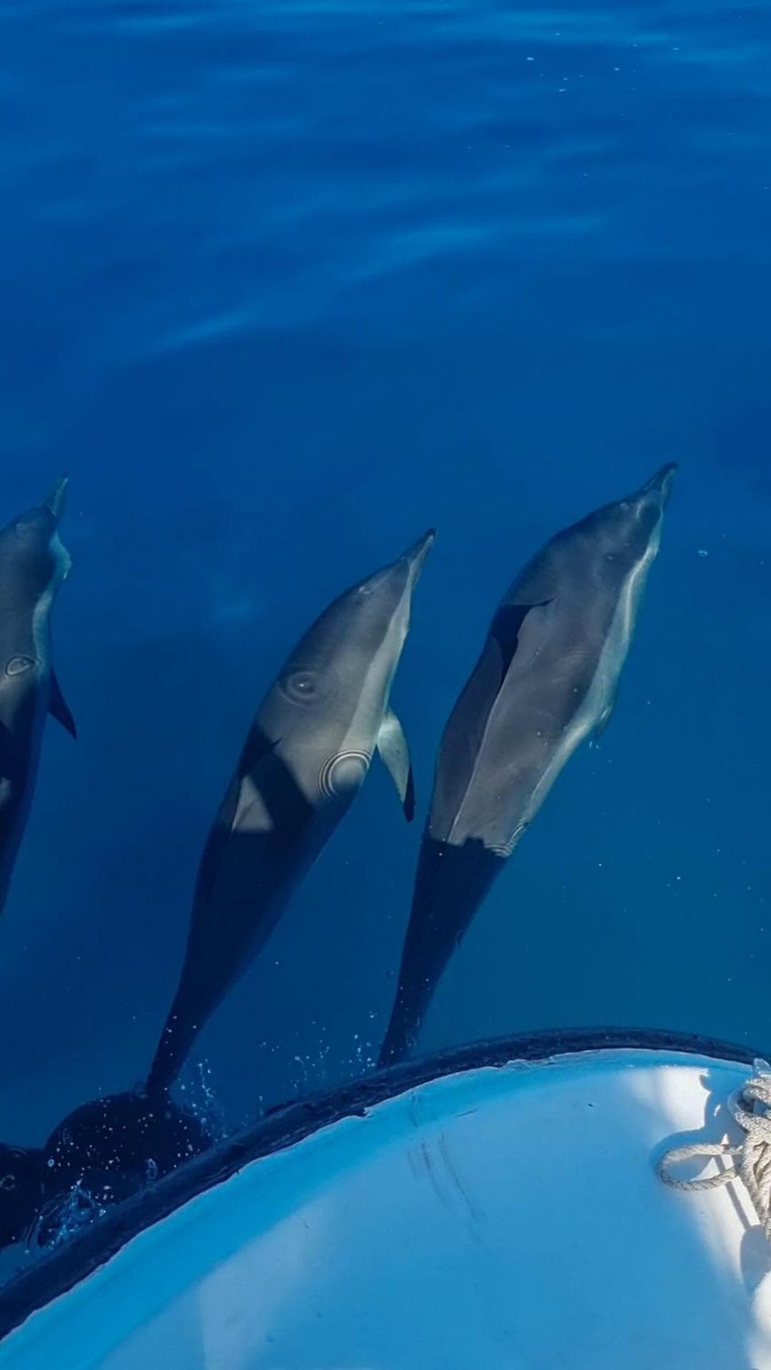 Vaagali Inn - View 34