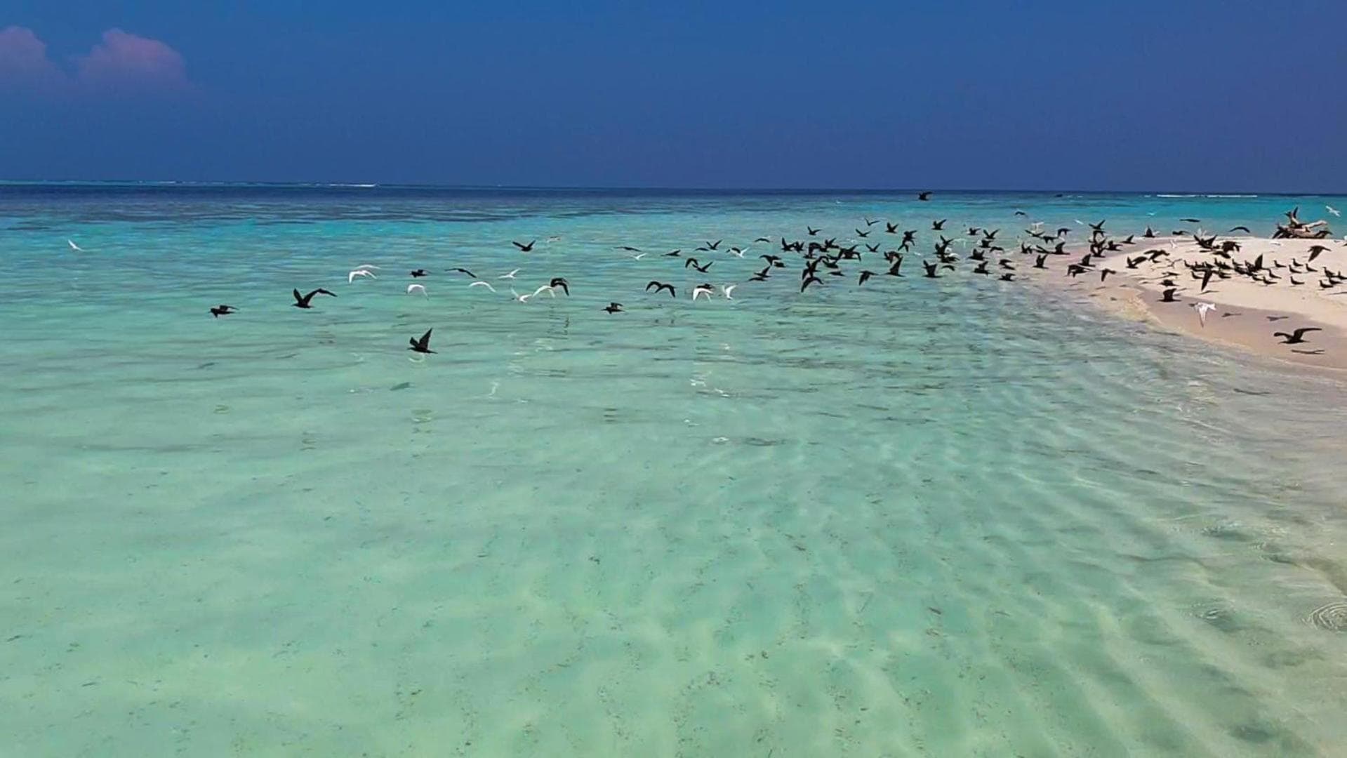 Vaagali Inn - View 32