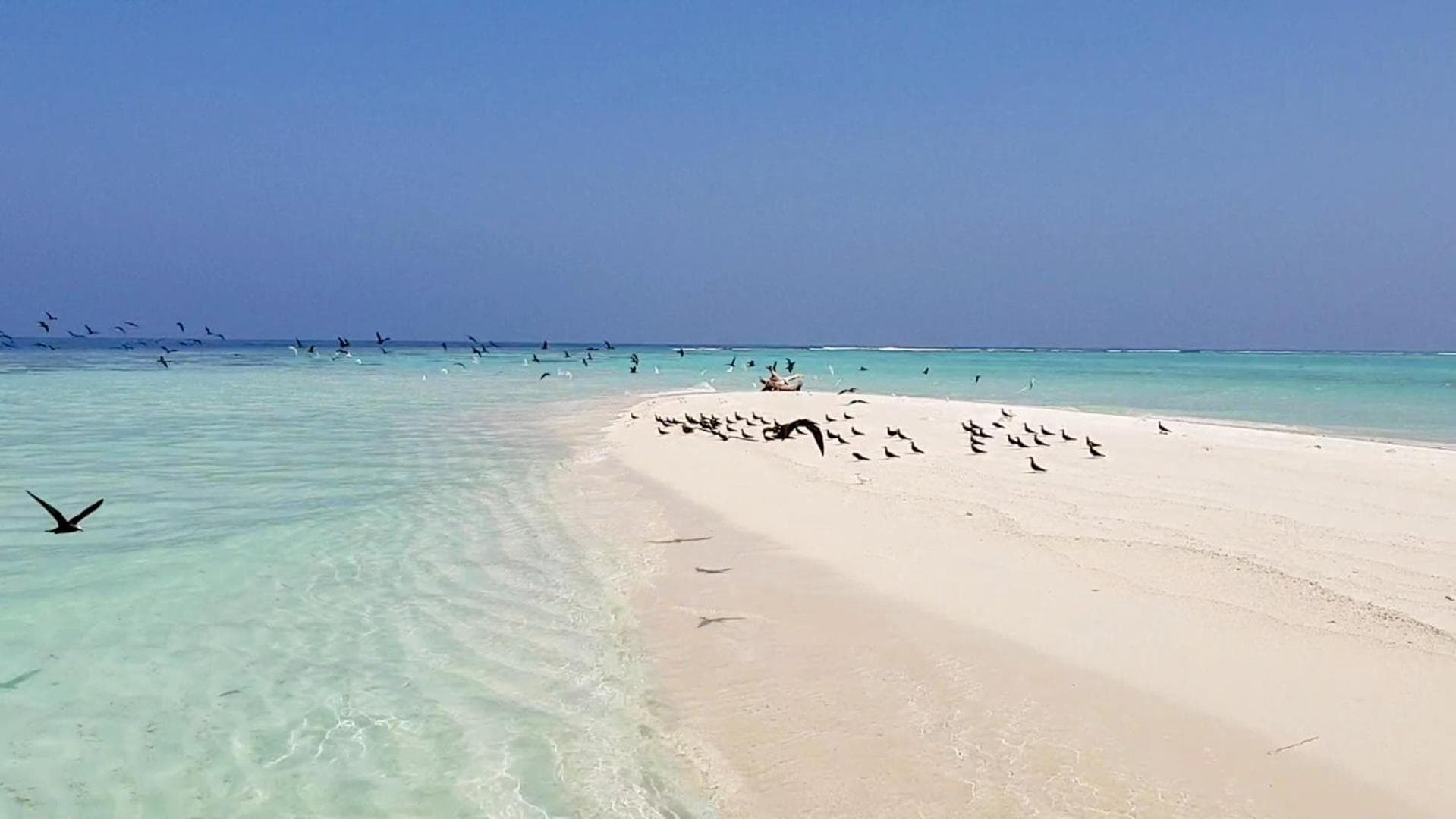 Vaagali Inn - View 31