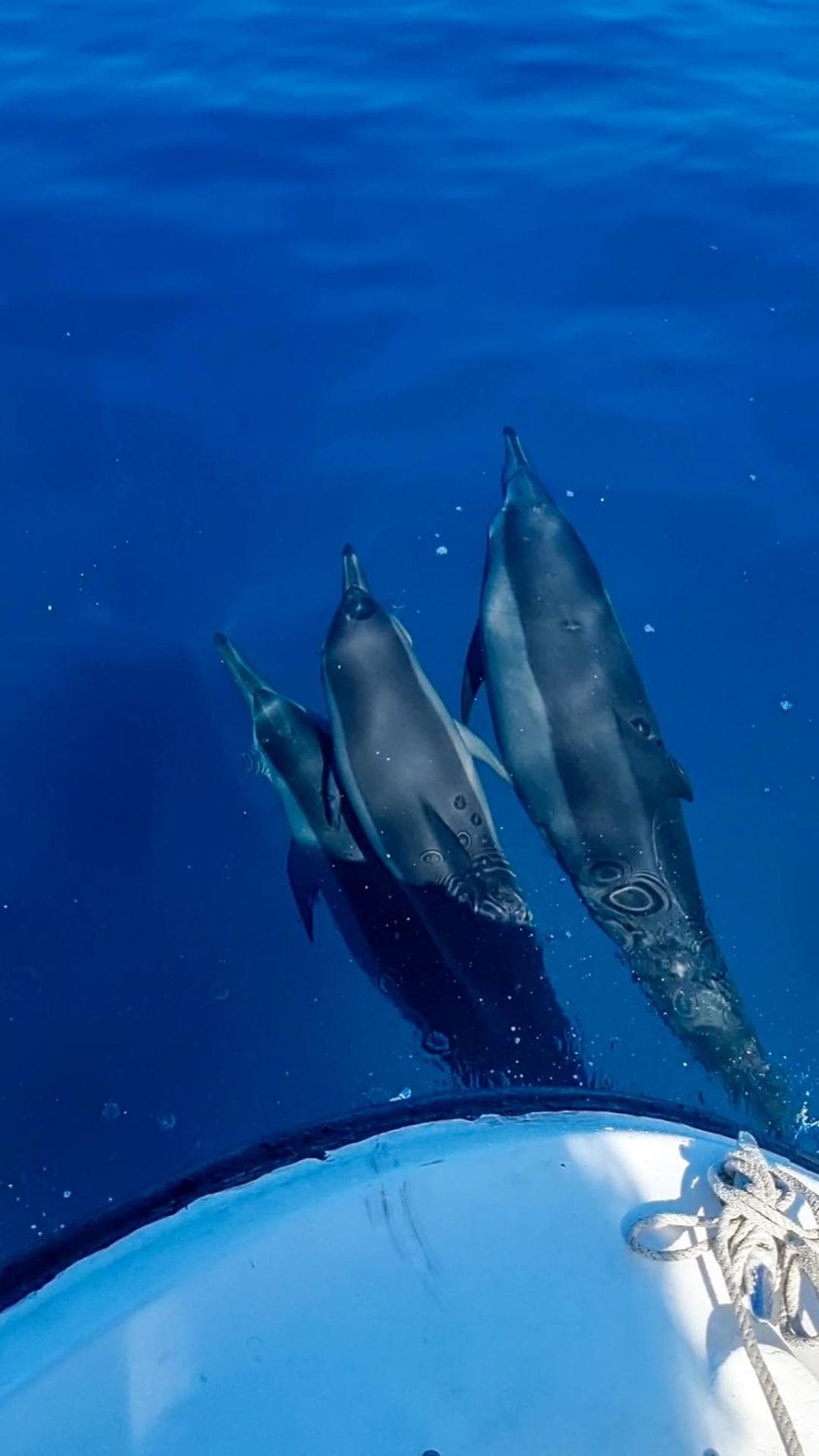 Vaagali Inn - View 33