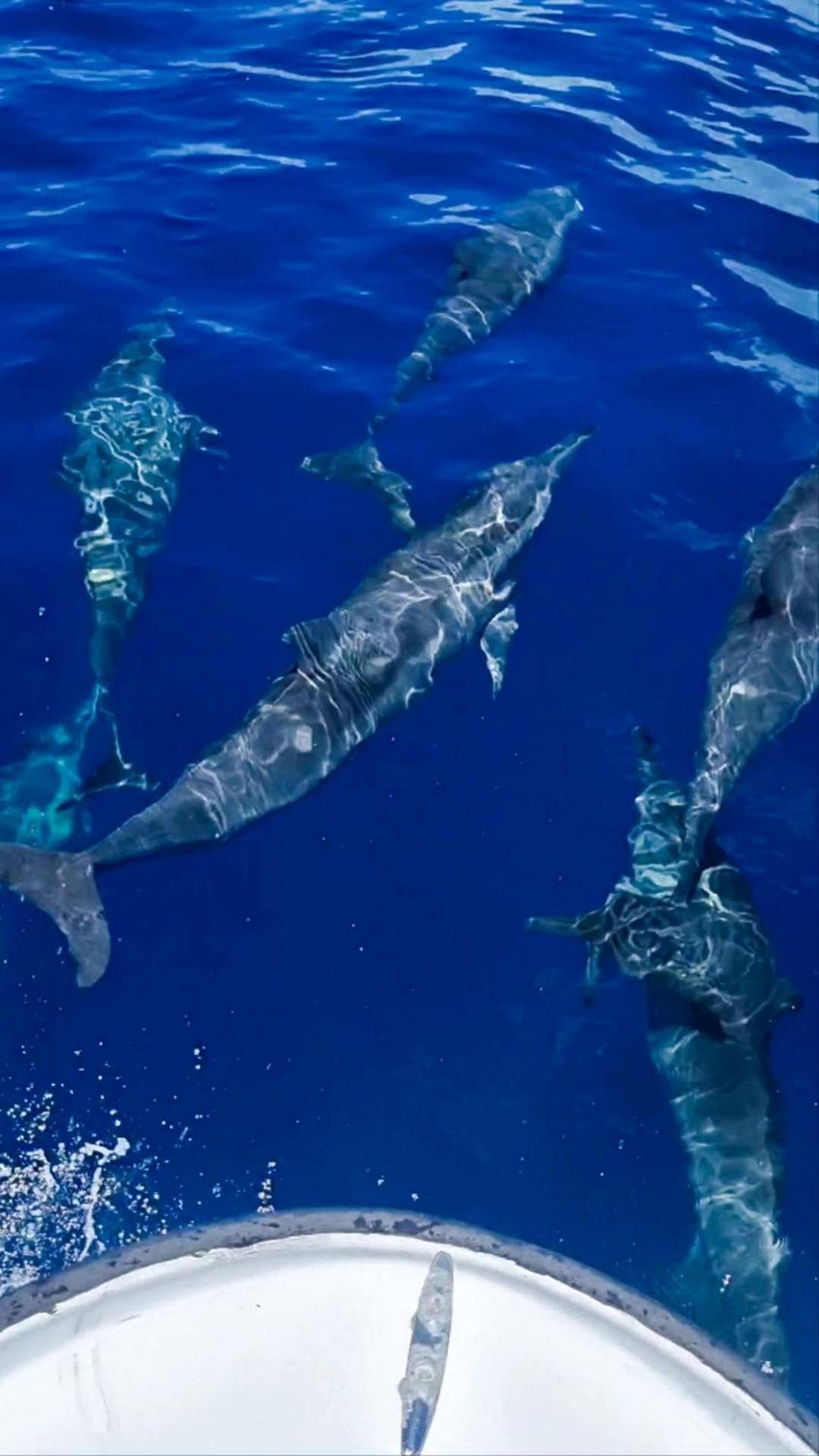 Vaagali Inn - View 22