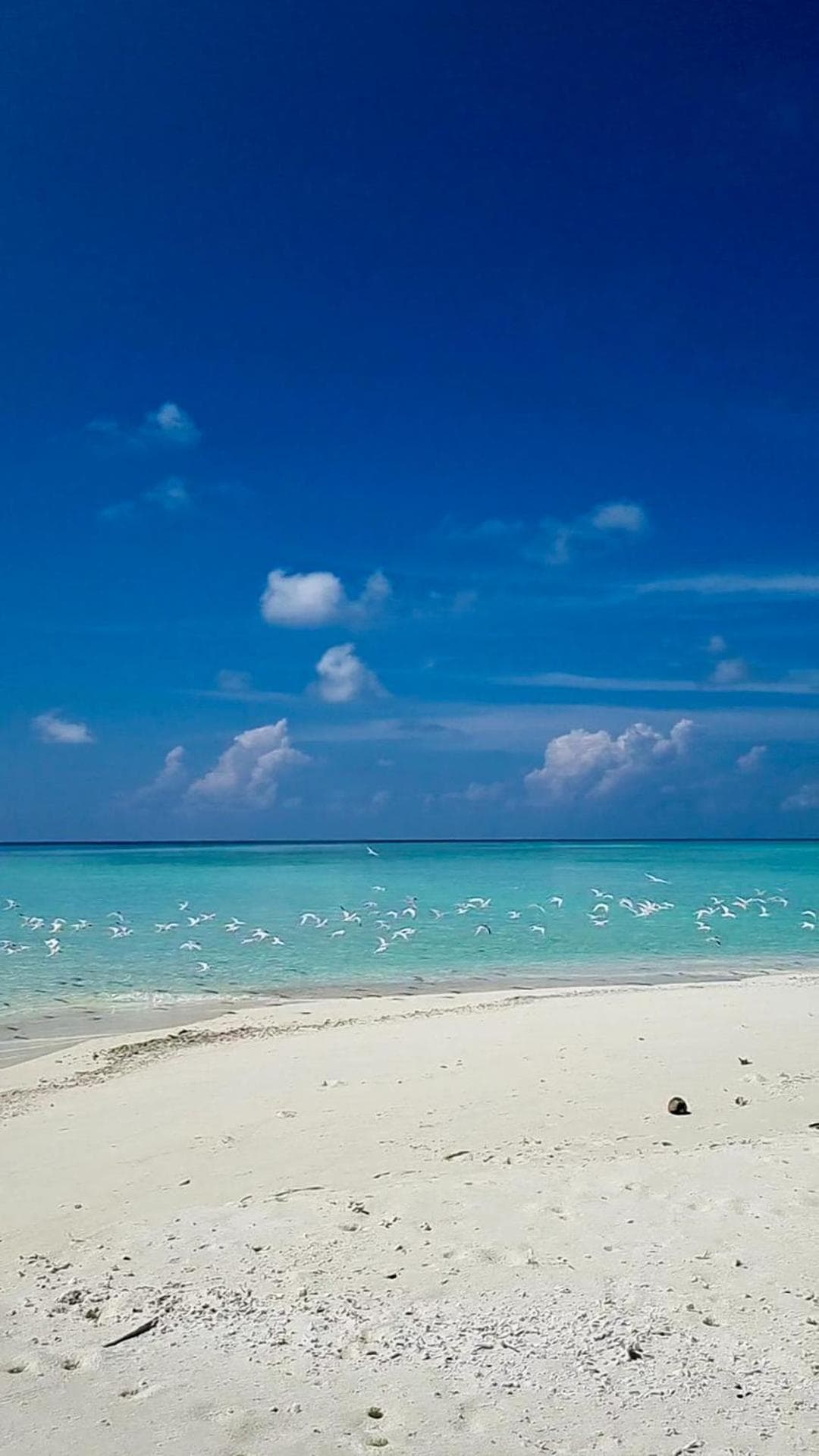 Vaagali Inn - View 28